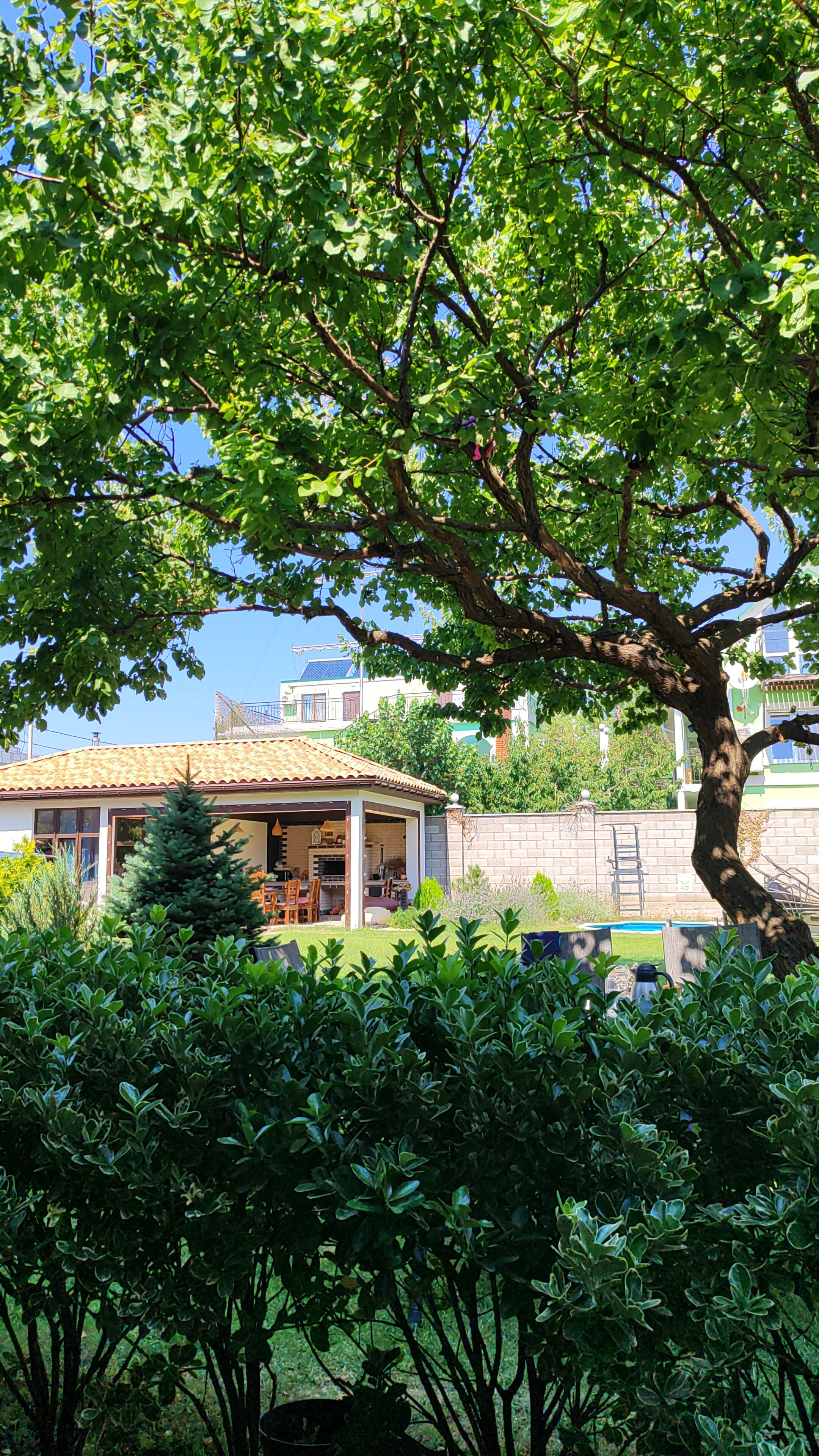 Фото Берёзка Юг