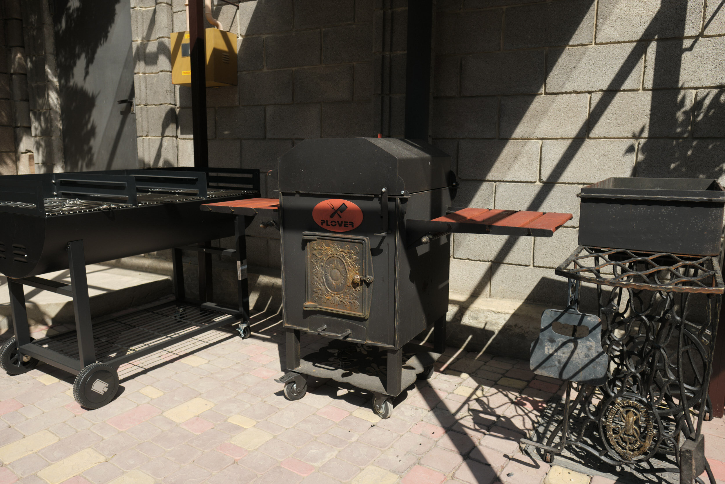 Фото Бамбук