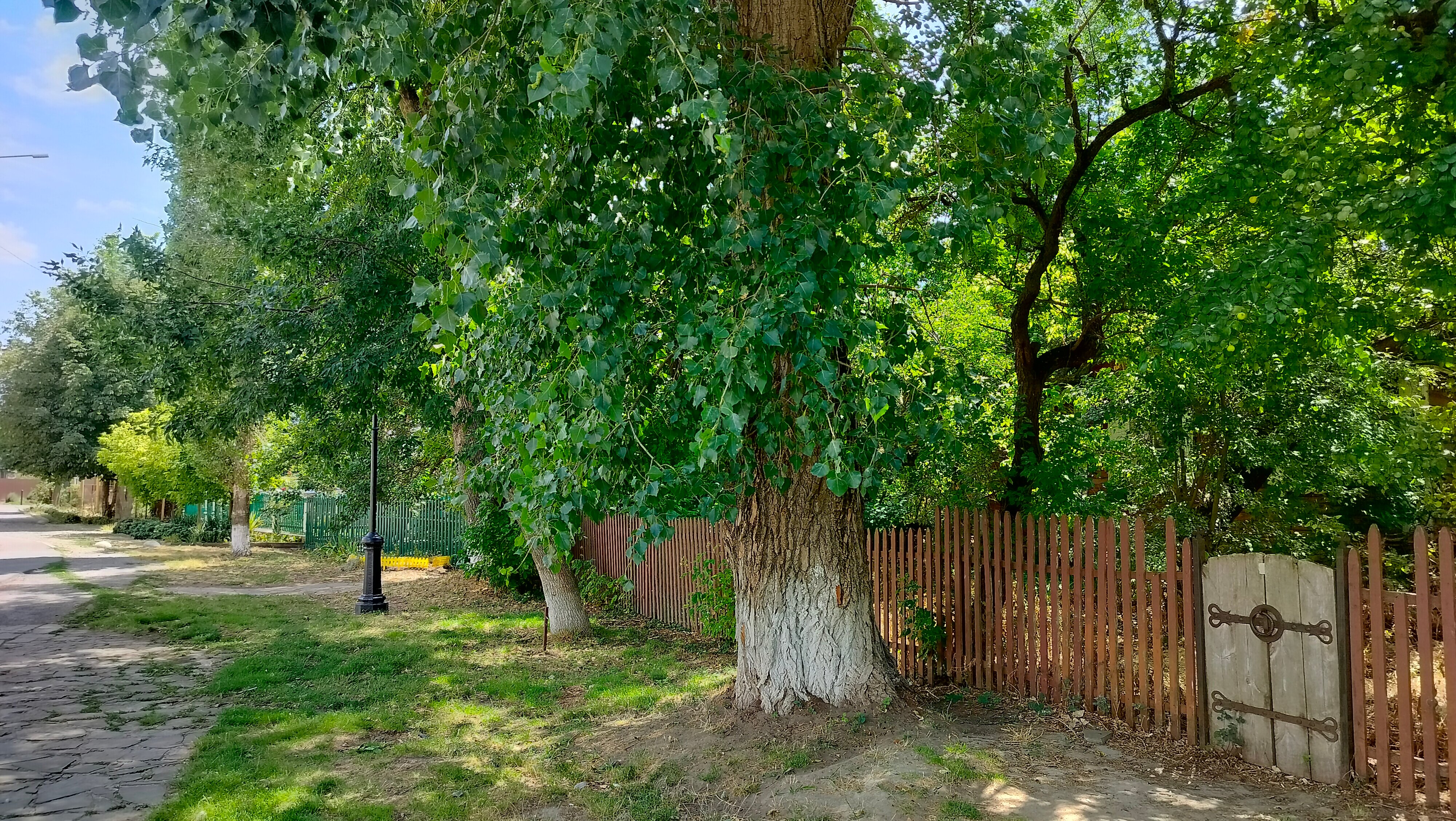 Фото Станица Черкасская