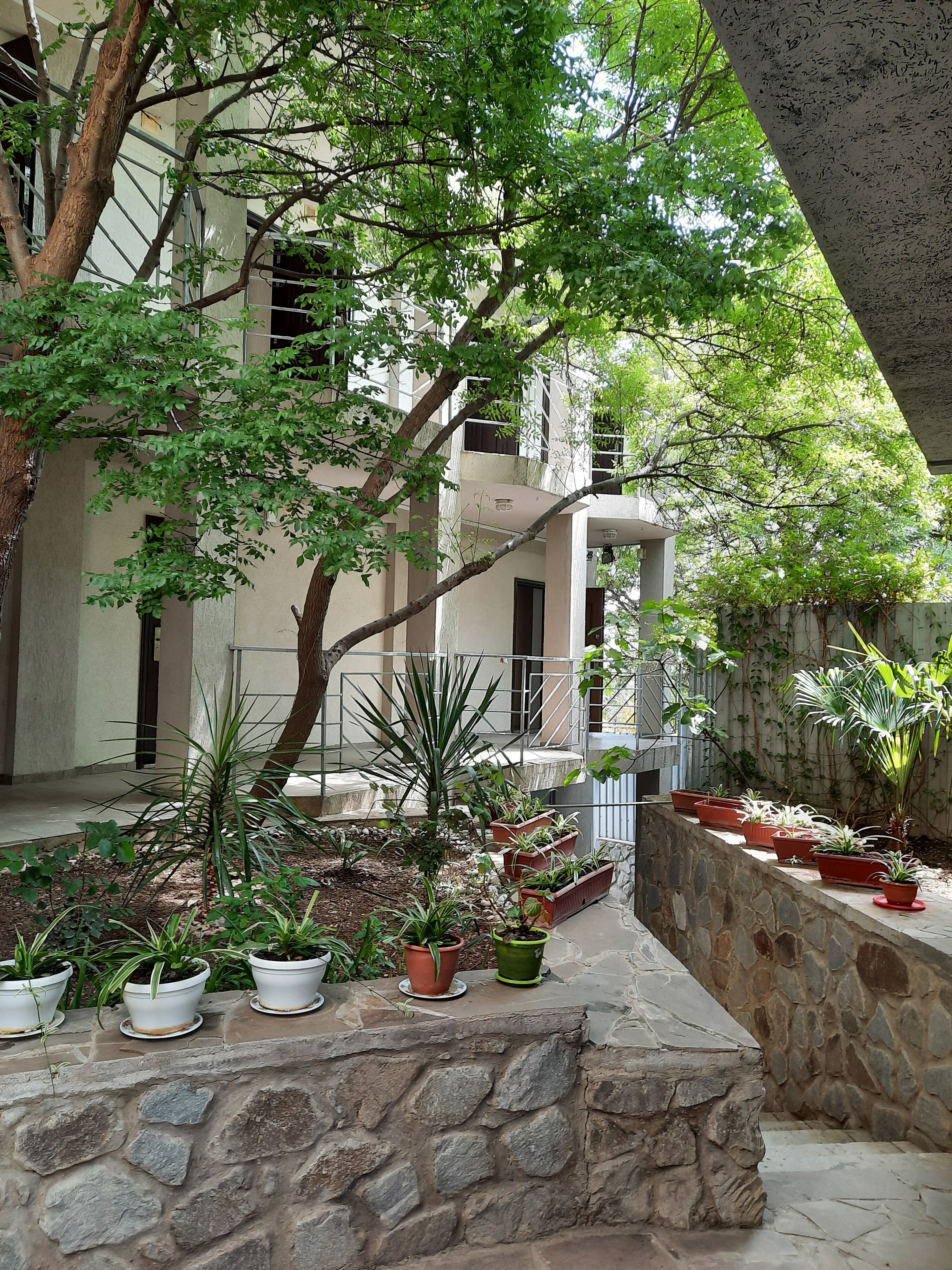 Фото Villa al Mare