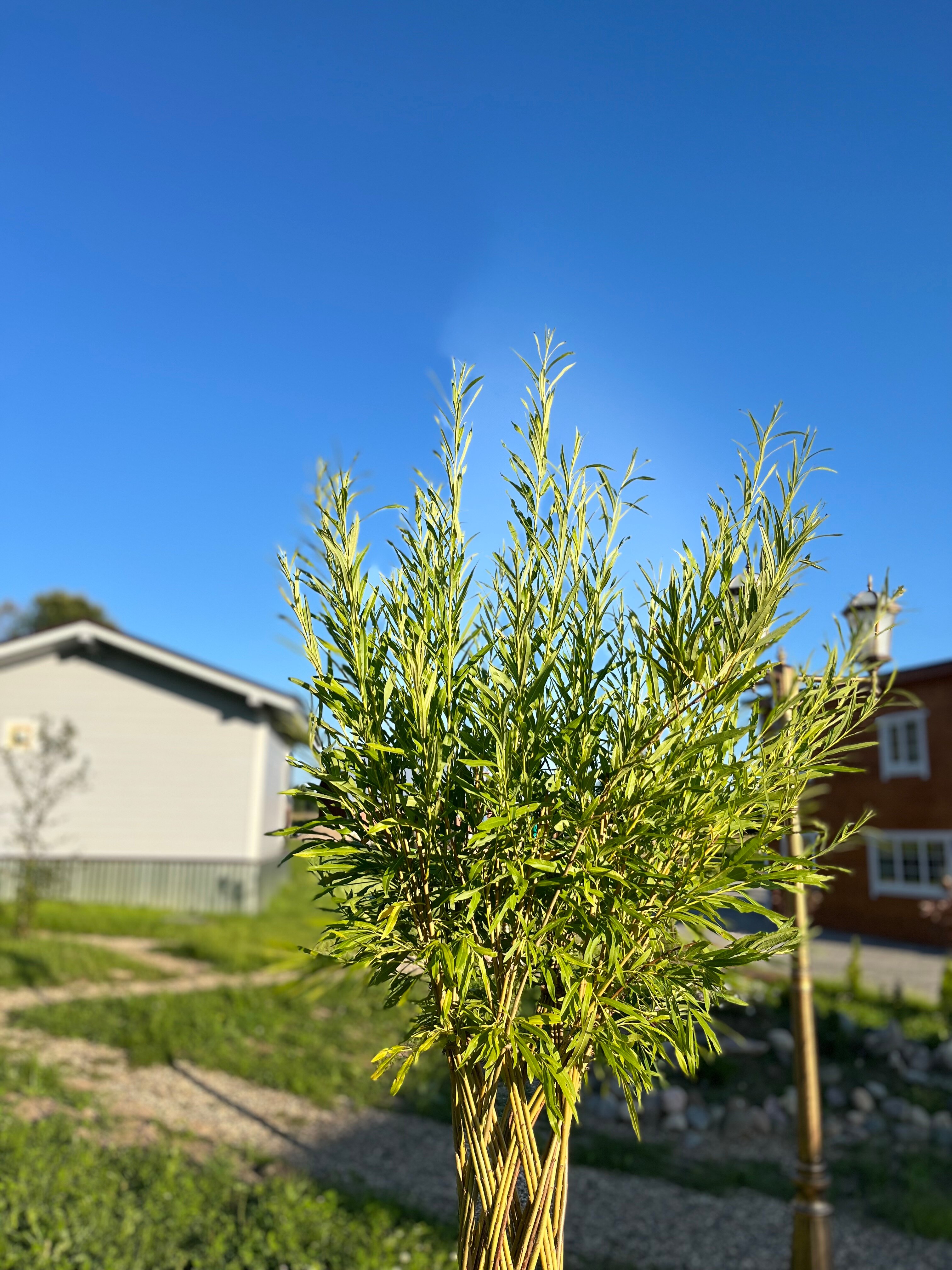 Фото Усадьба Святогорье