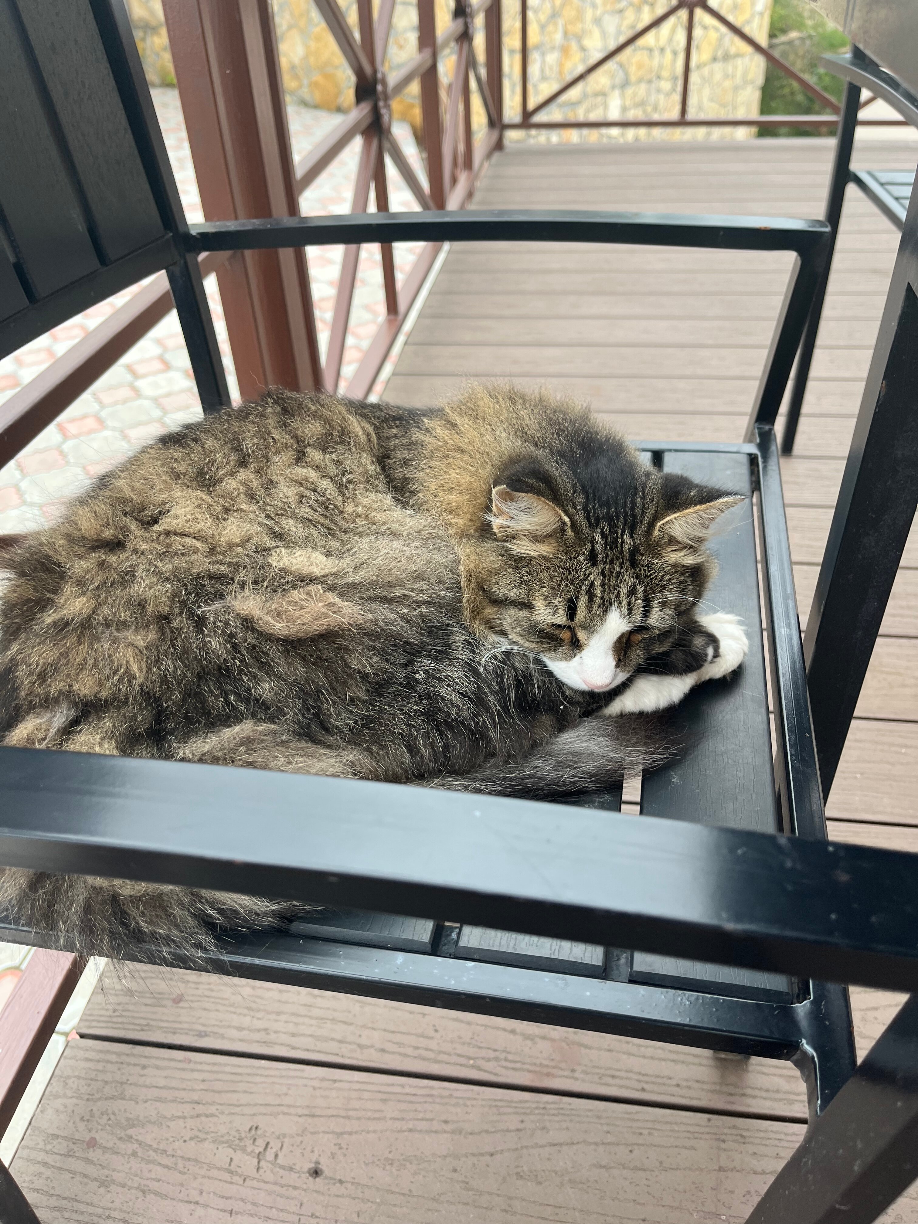 Фото Введенская усадьба