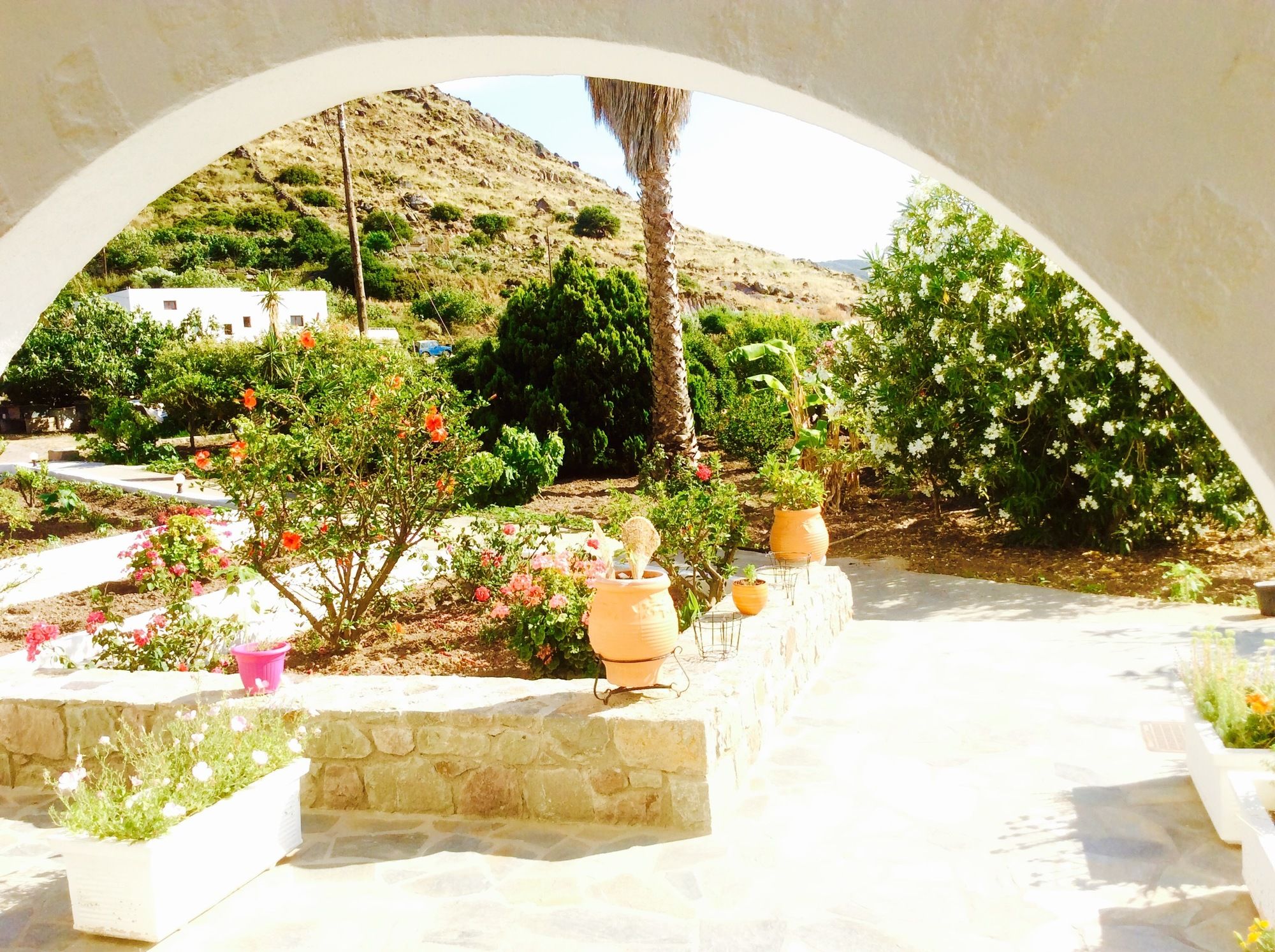 Фото Nicolas Studios