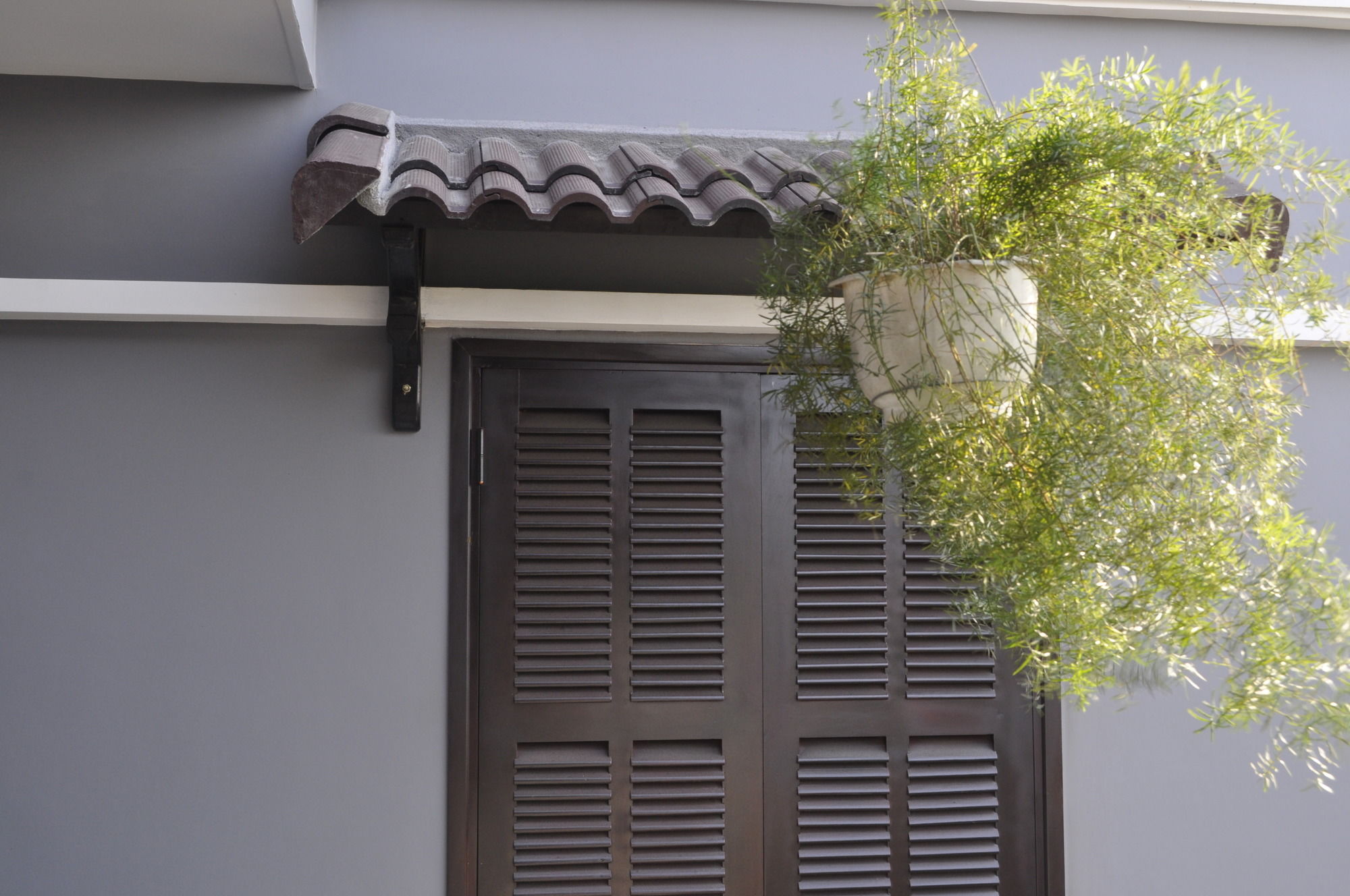 Фото Green Coco Homestay Hoi An