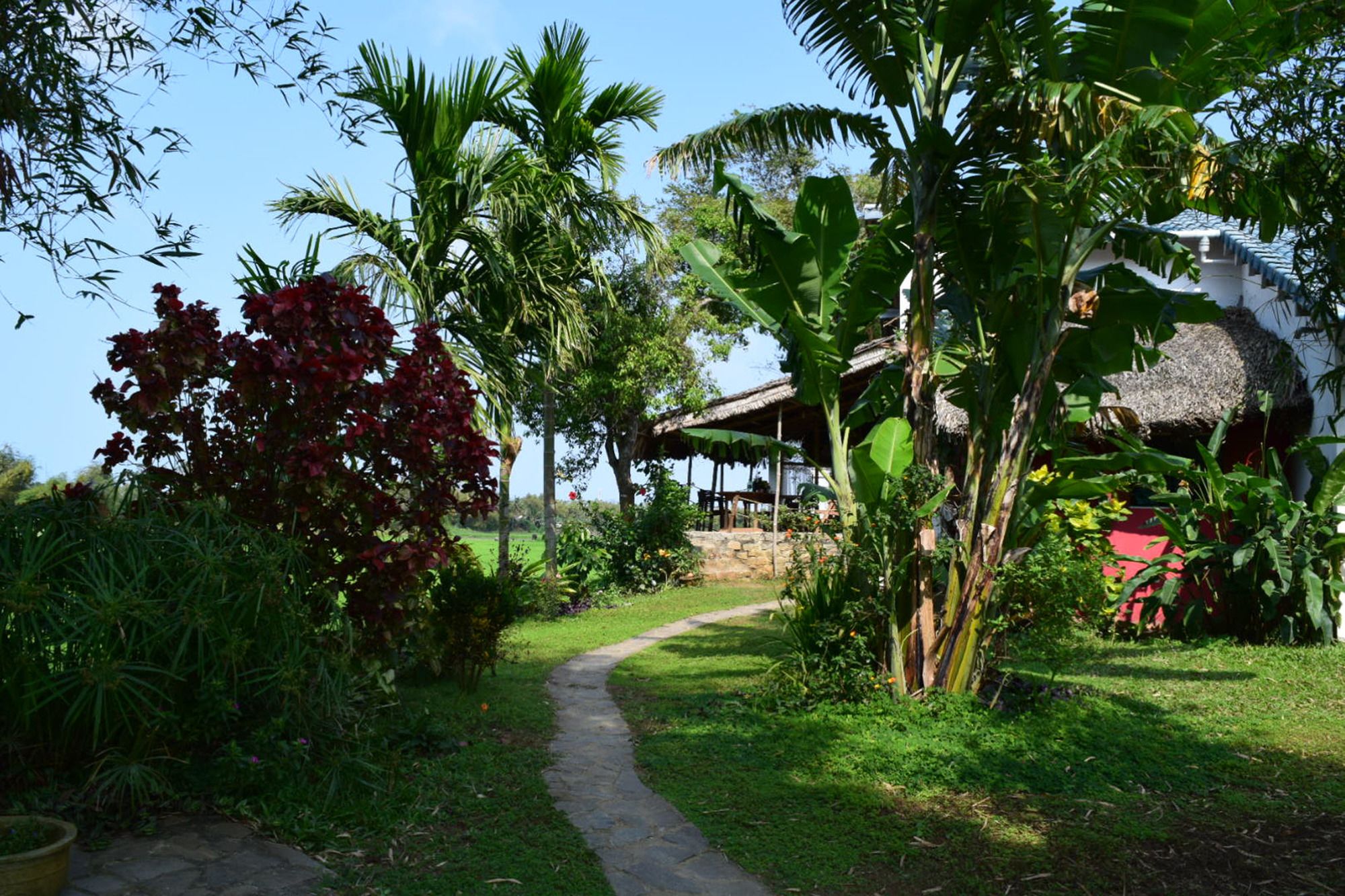 Фото La Terrazza