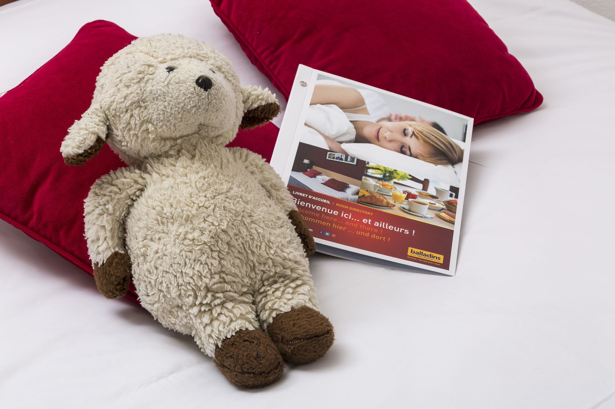 Фото Brit Hotel Confort Pau Lons