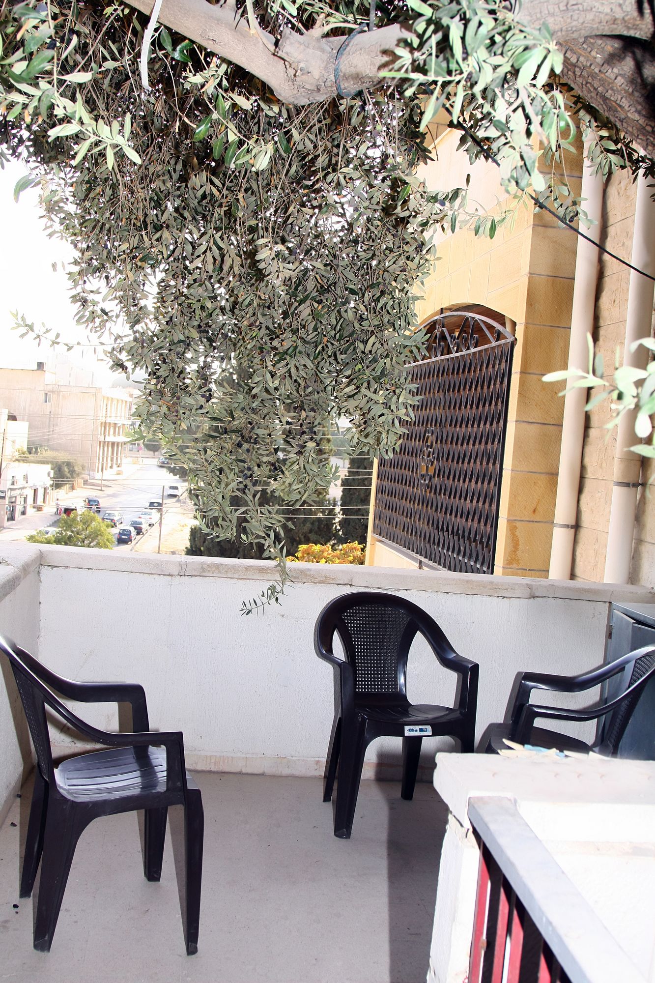 Фото Arabian Suites