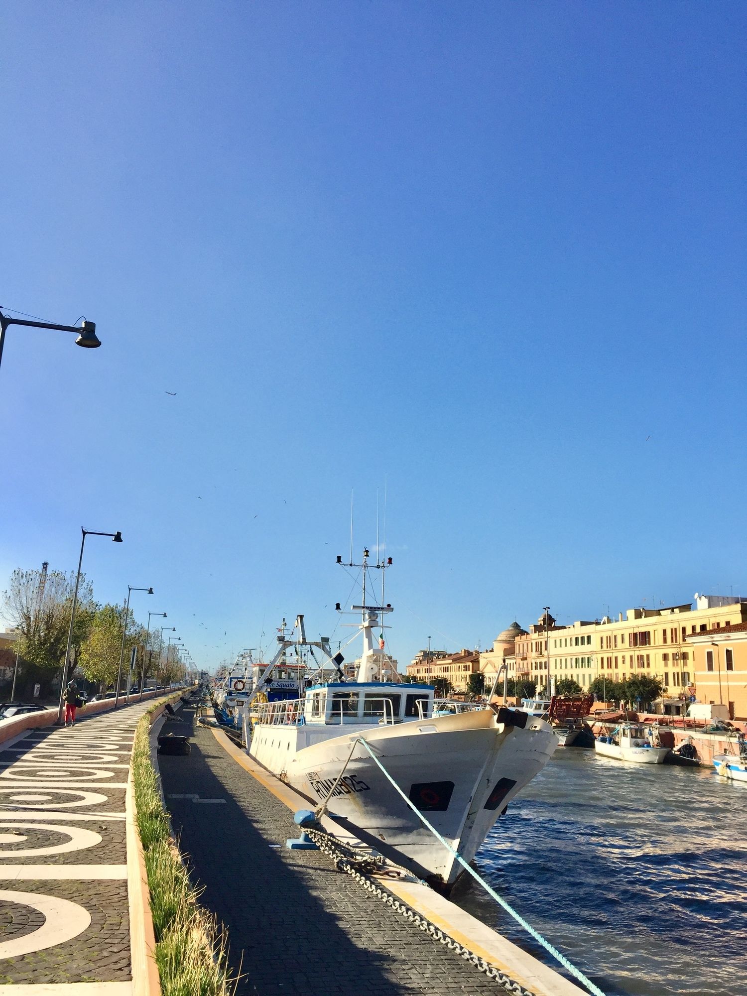 Фото Academy Hotel Fiumicino