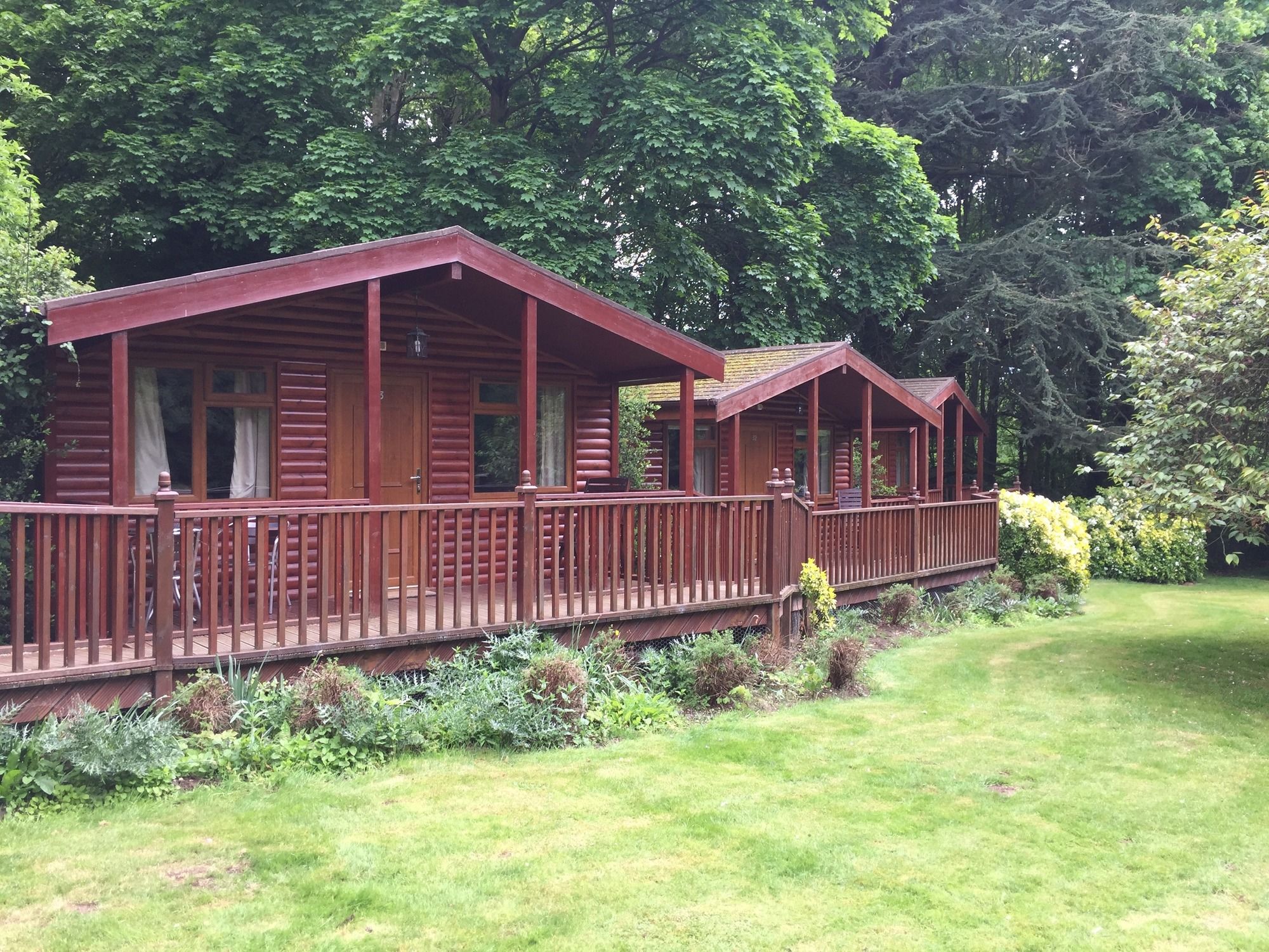 Фото 72323162249