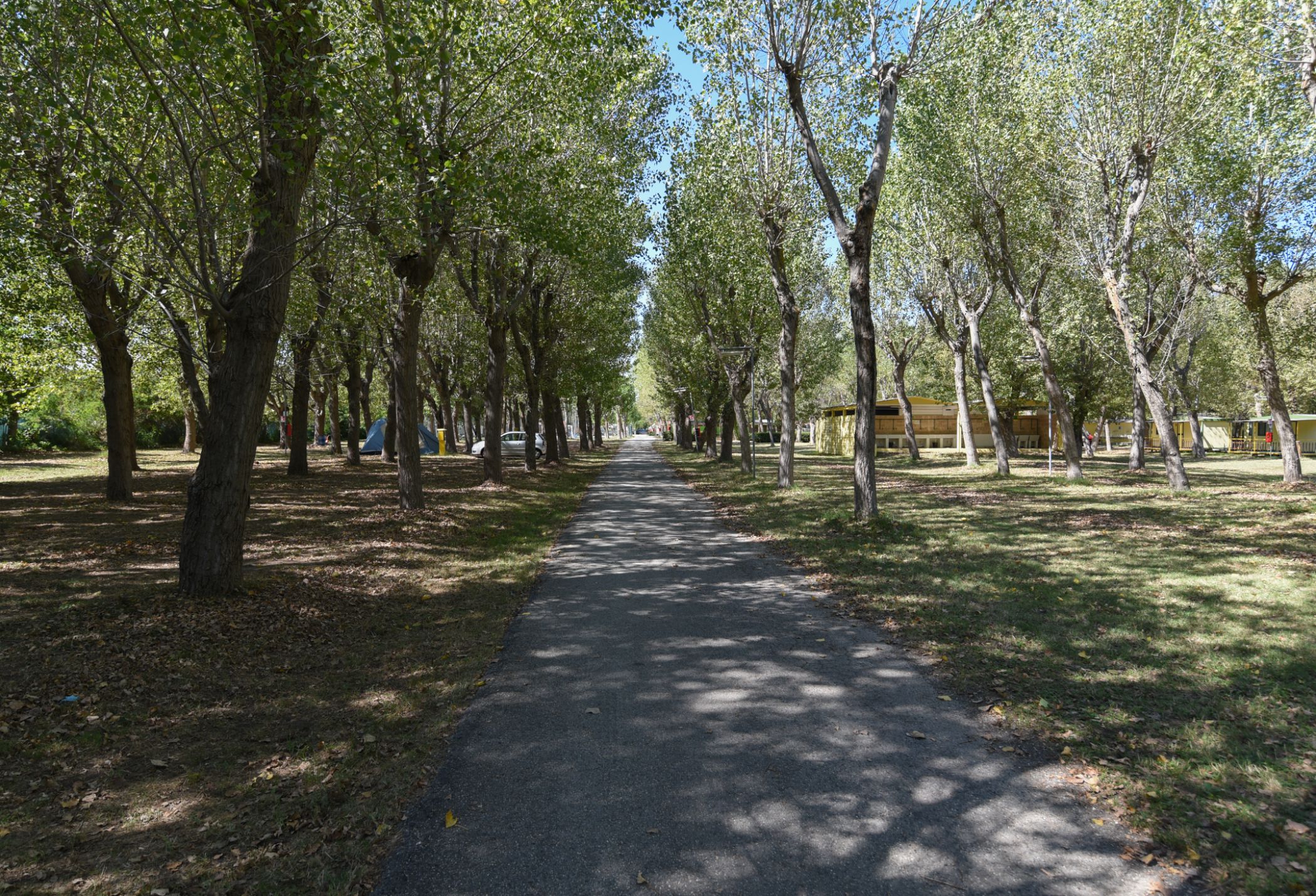 Фото Club del Sole Rimini Family Resort
