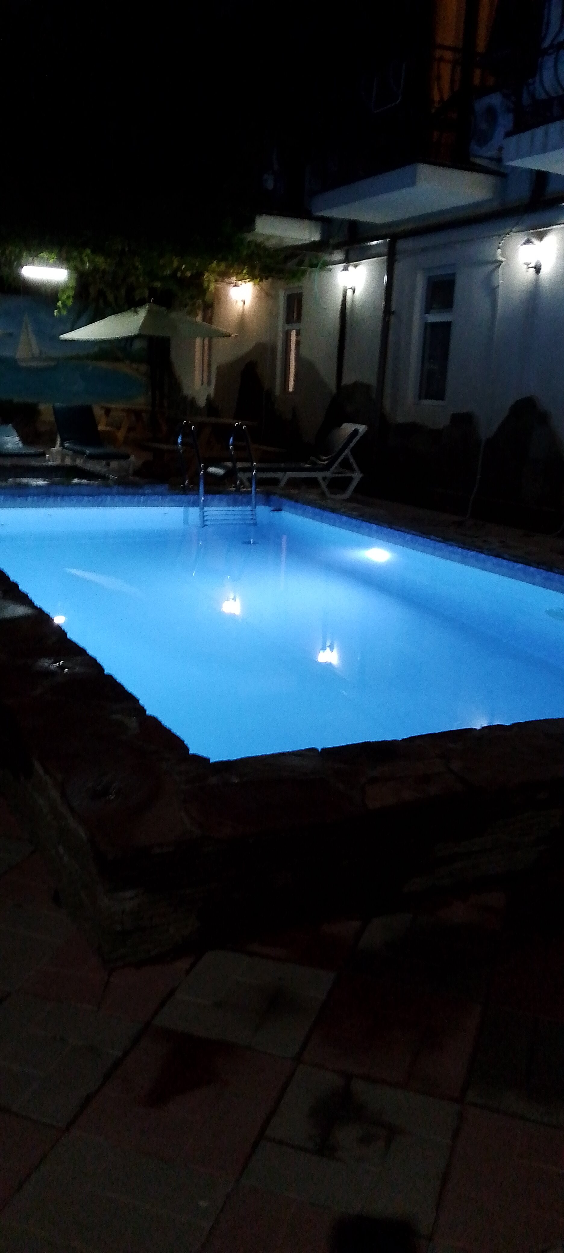 Фото Дельфиния