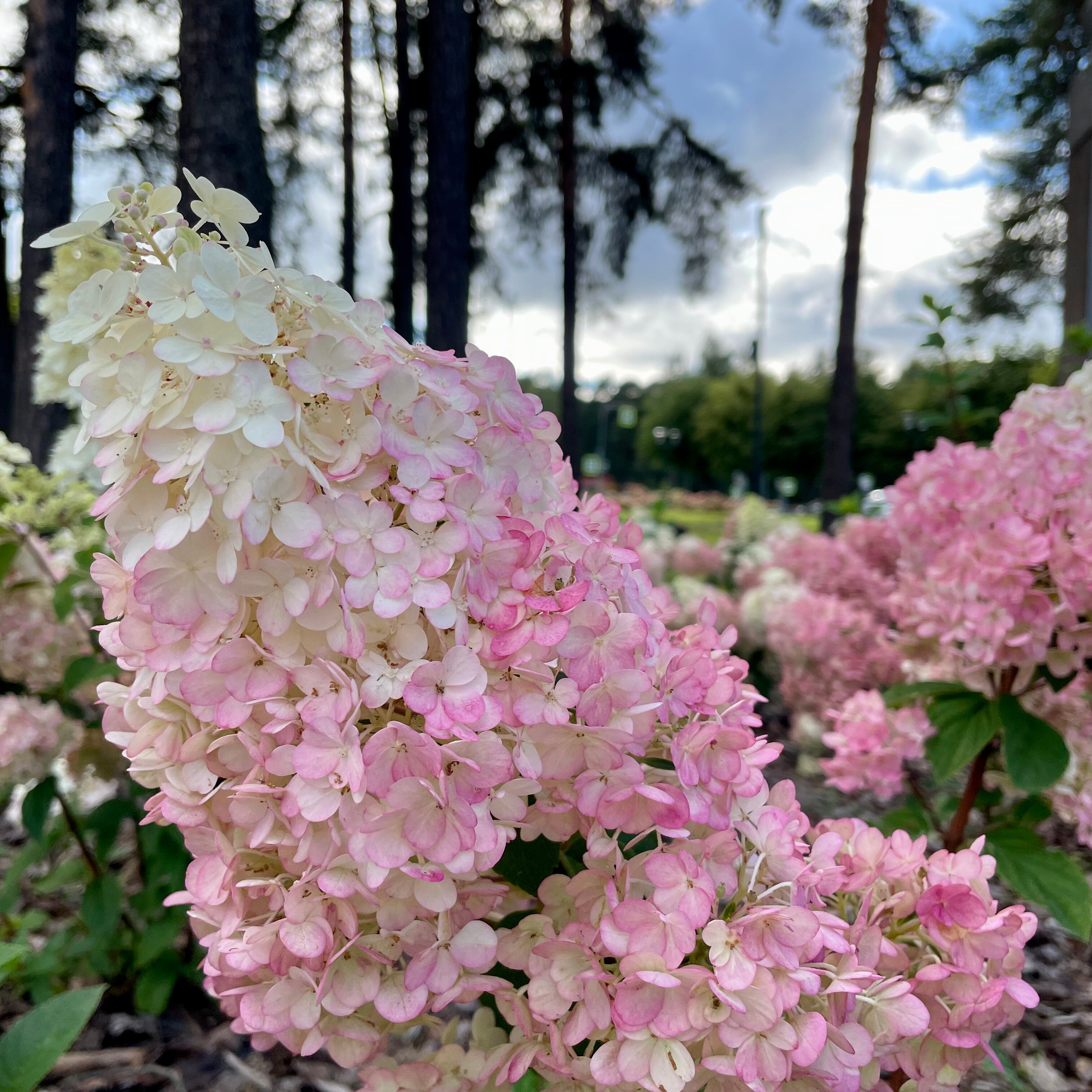 Фото Гостиница Ленинградская АЭС-Авто