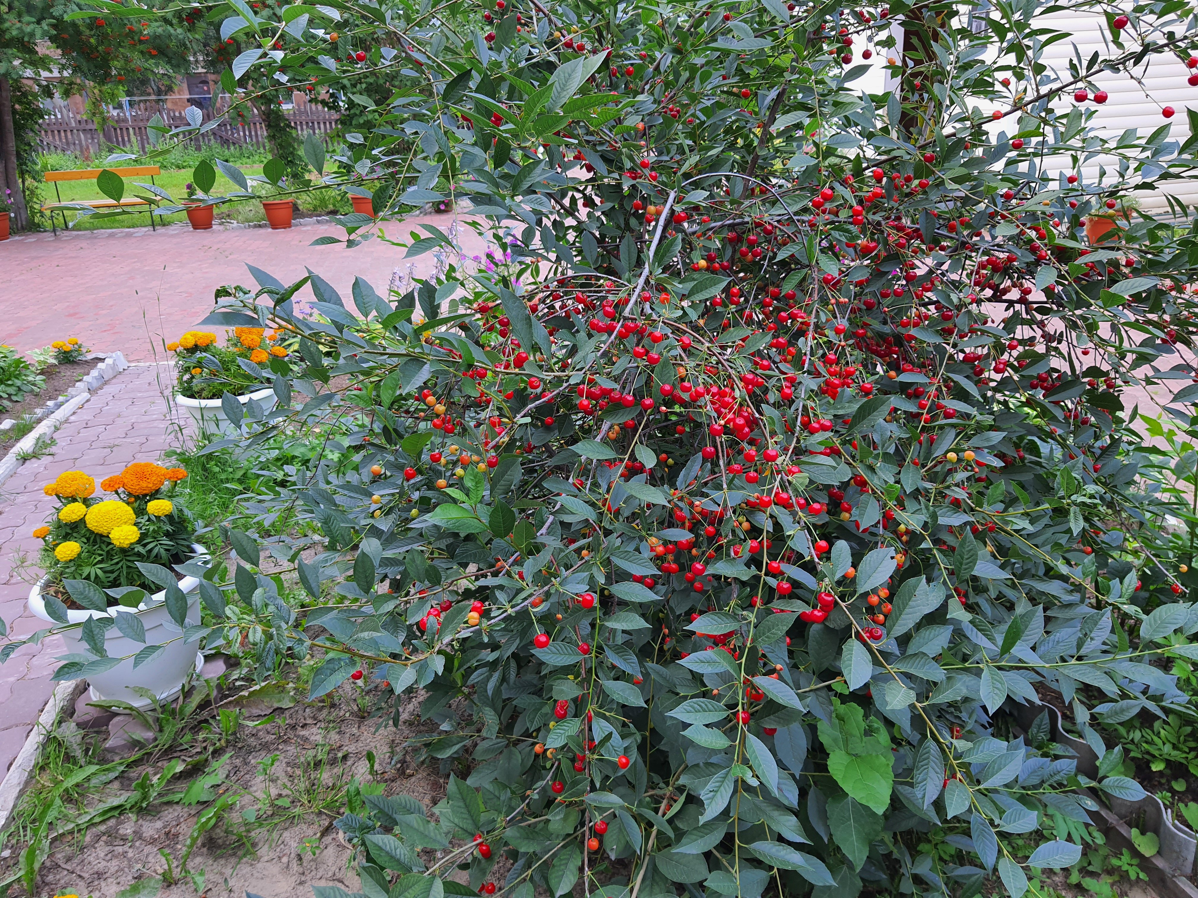 Фото Севмаш