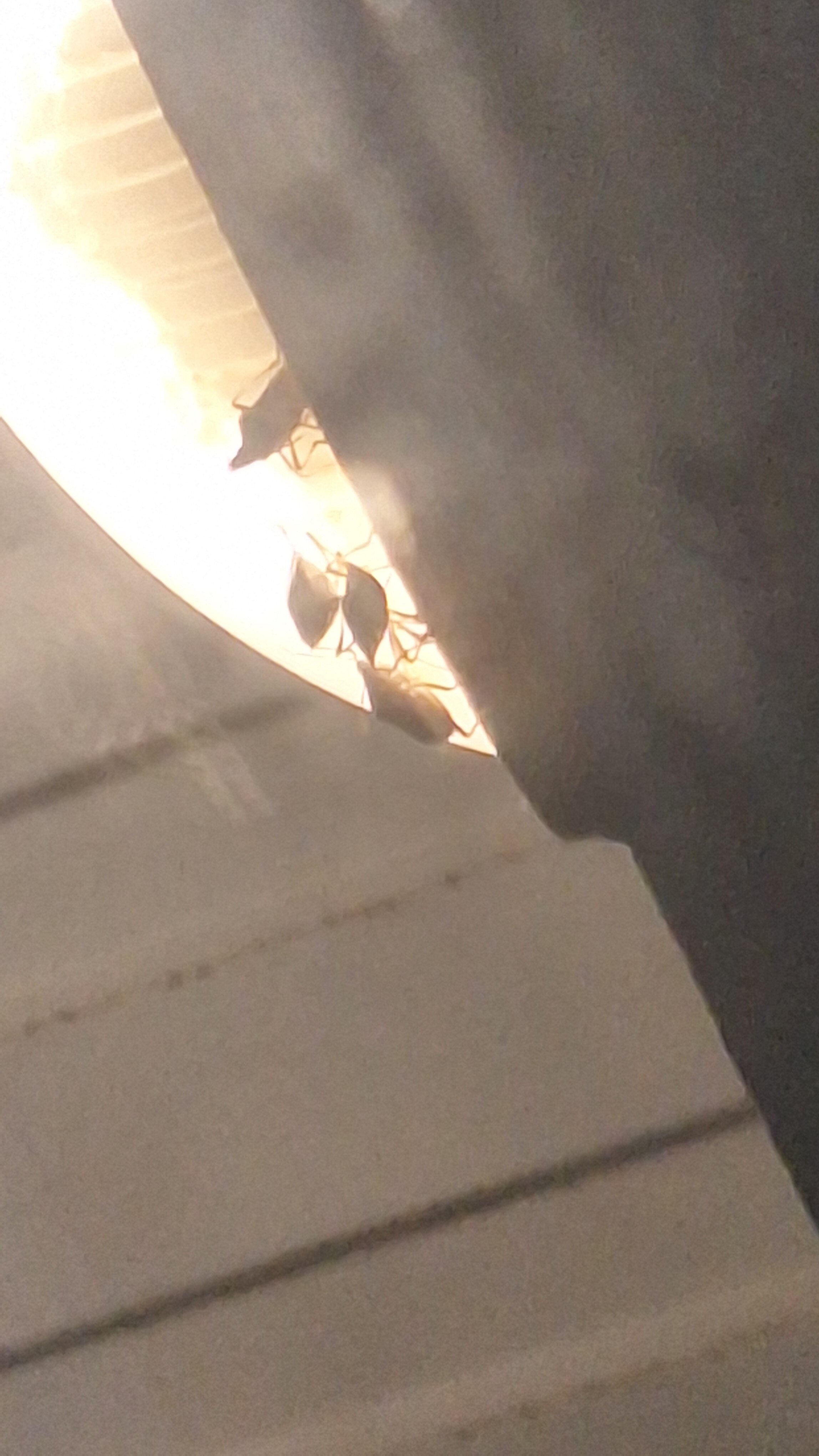 Фото Светлана