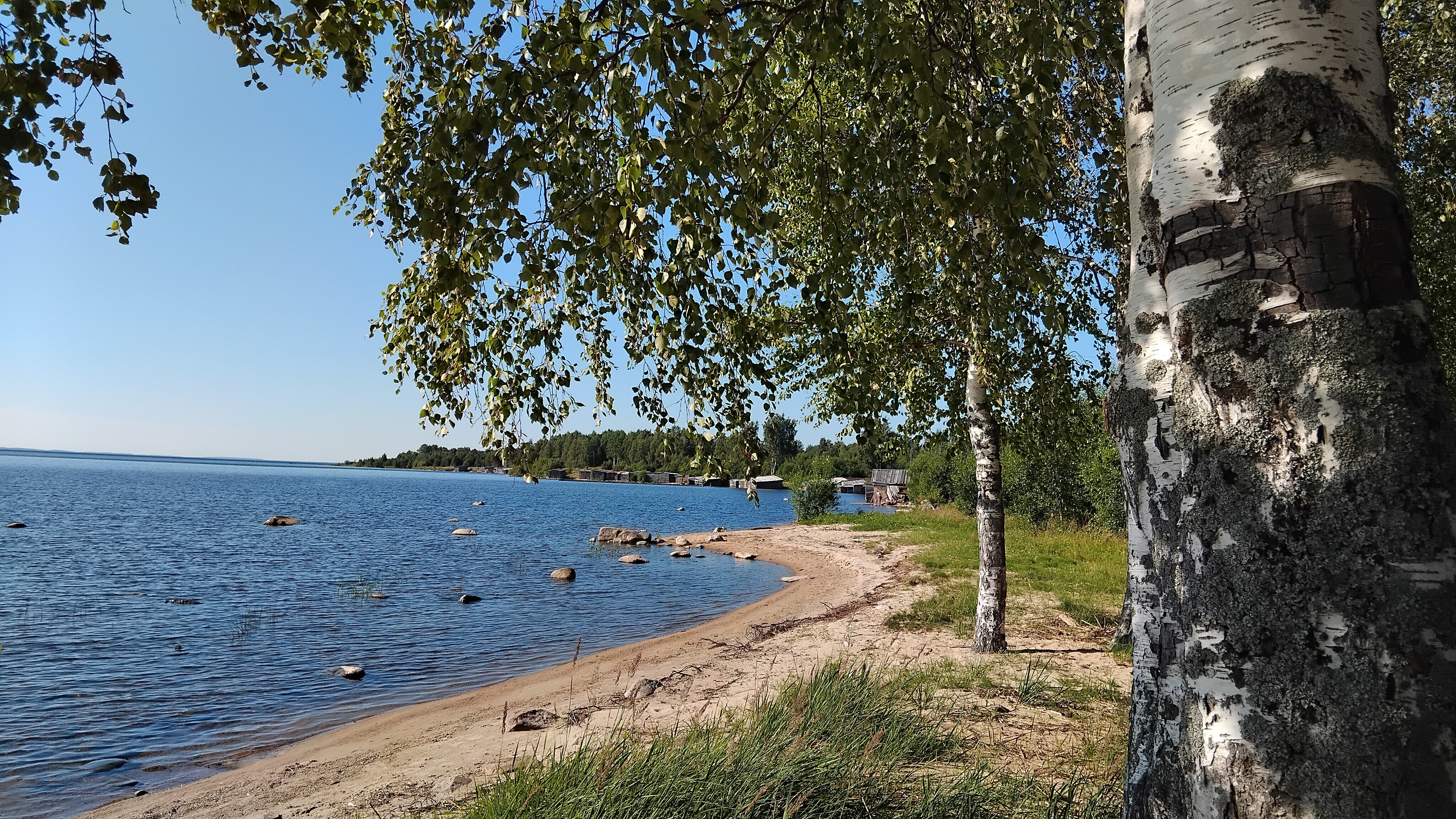 Фото Пяльма