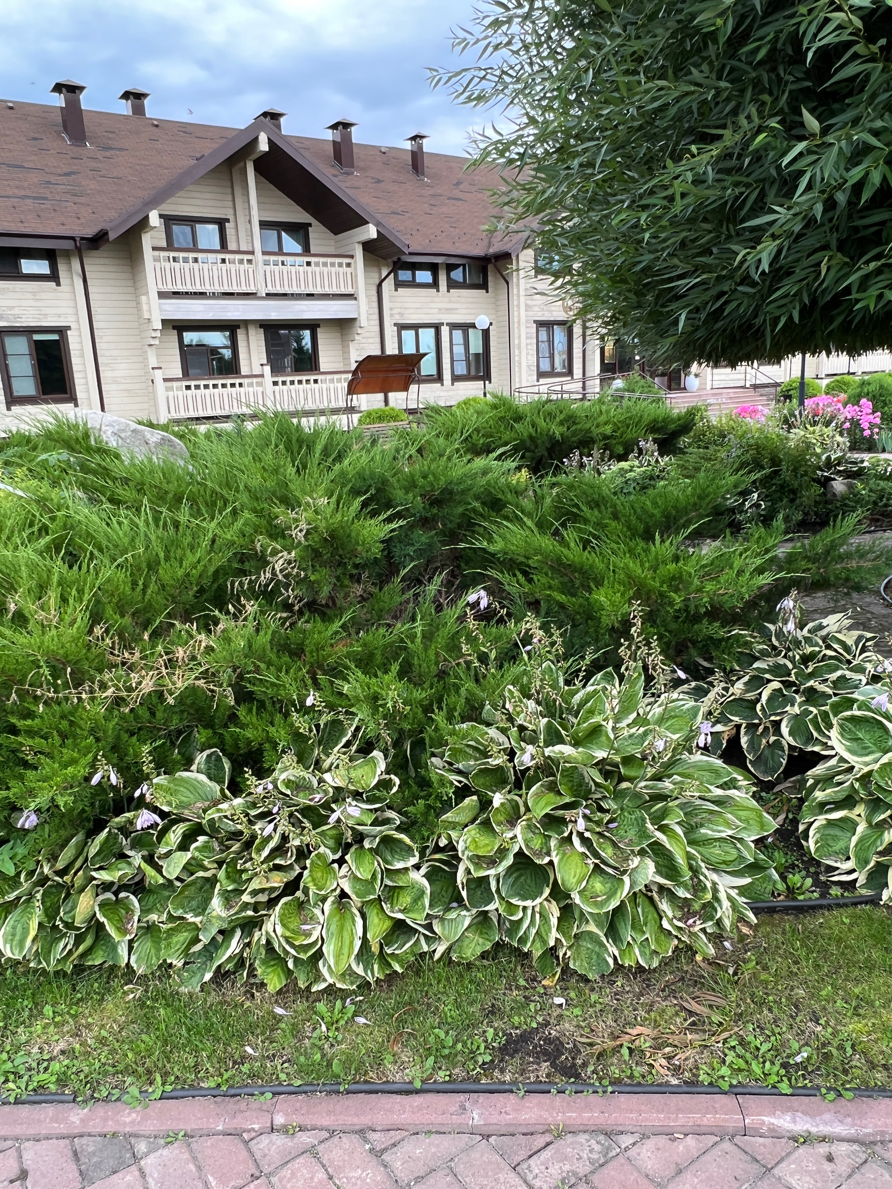 Фото отеля 4