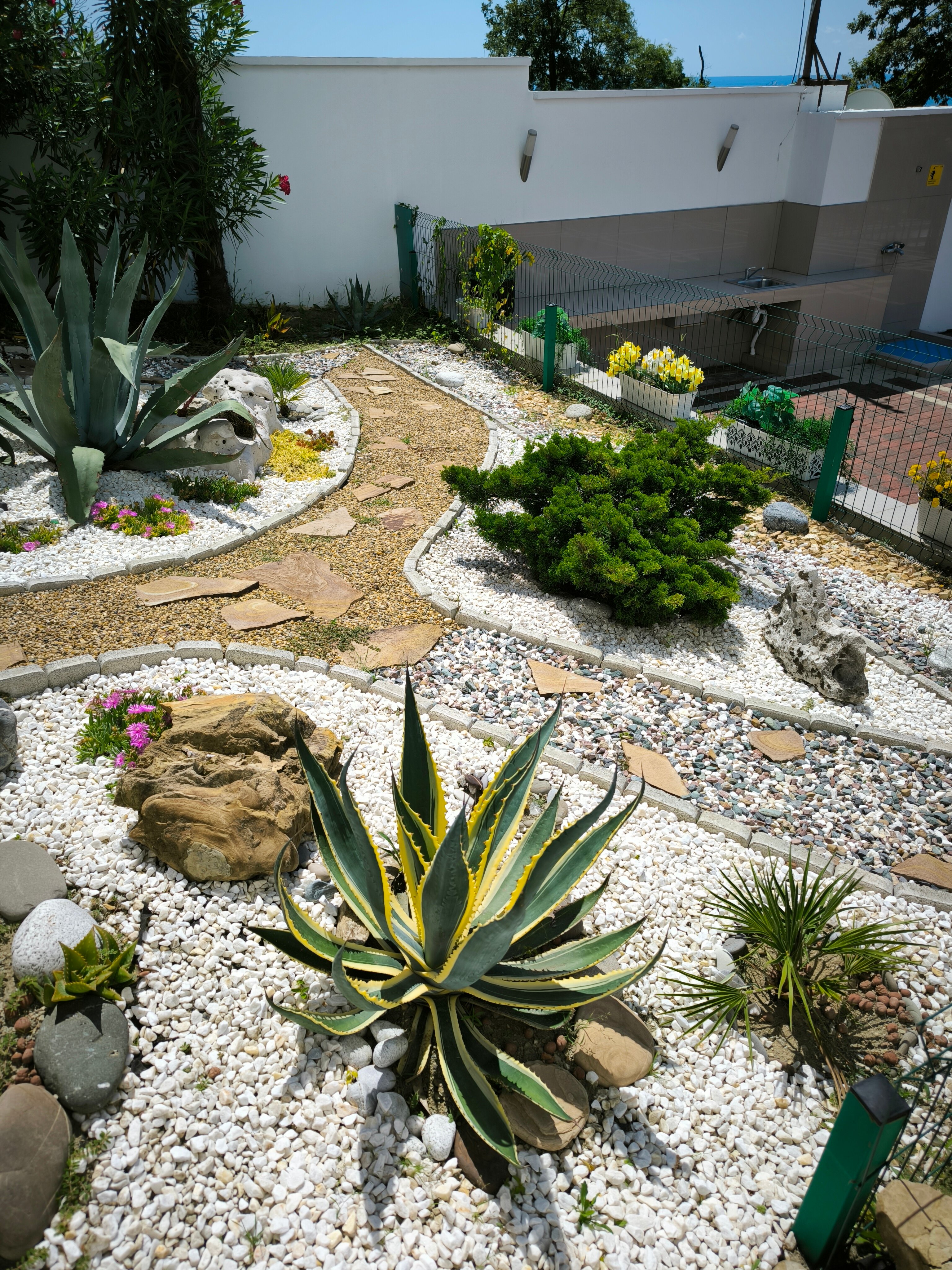 Фото ЛооВегас