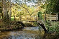 Фото Hotel du Parc