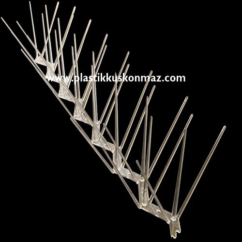 Disinfection, disinsection, deratization Pastik Asparagus Thorn, Suleymanpasa, photo