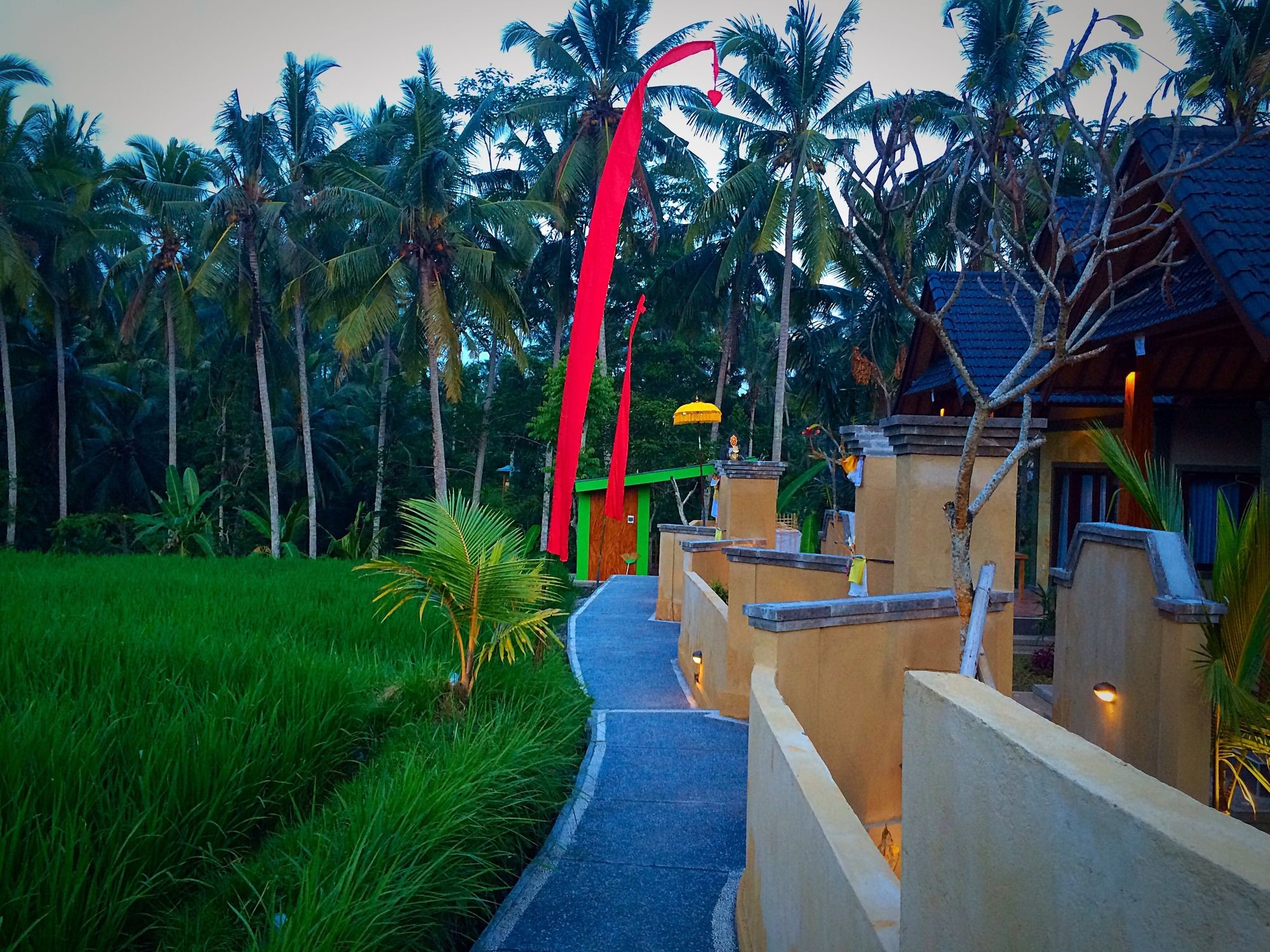 Фото Dupa Ubud Villa