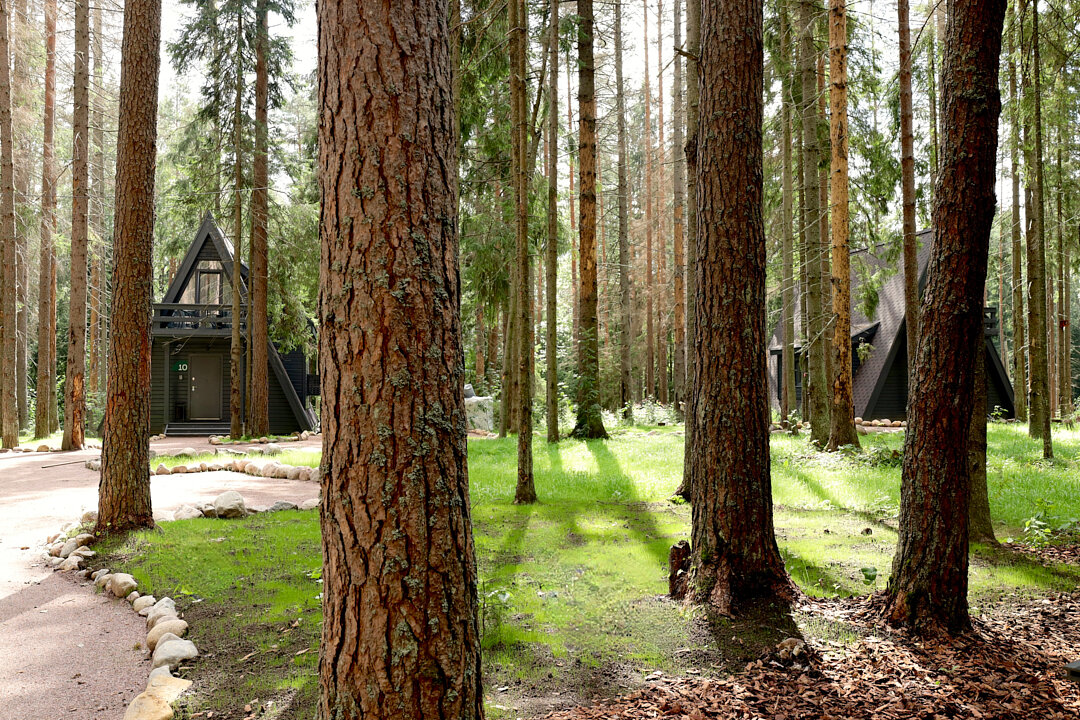 Фото View Ga Симагинское озеро