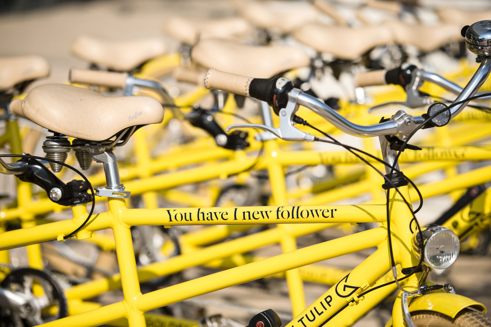 Фото Voco Strasbourg Centre The Garden, an Ihg Hotel