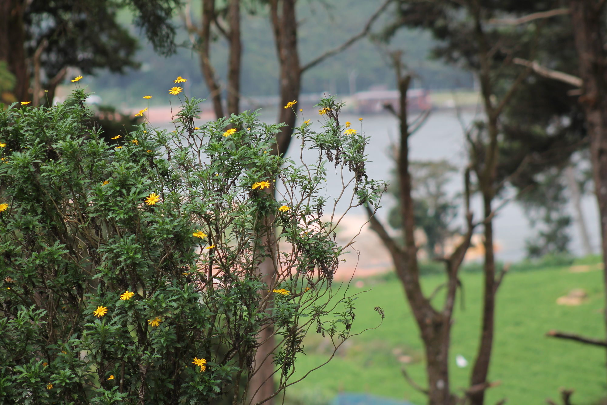 Фото Mirage Kings Cottage