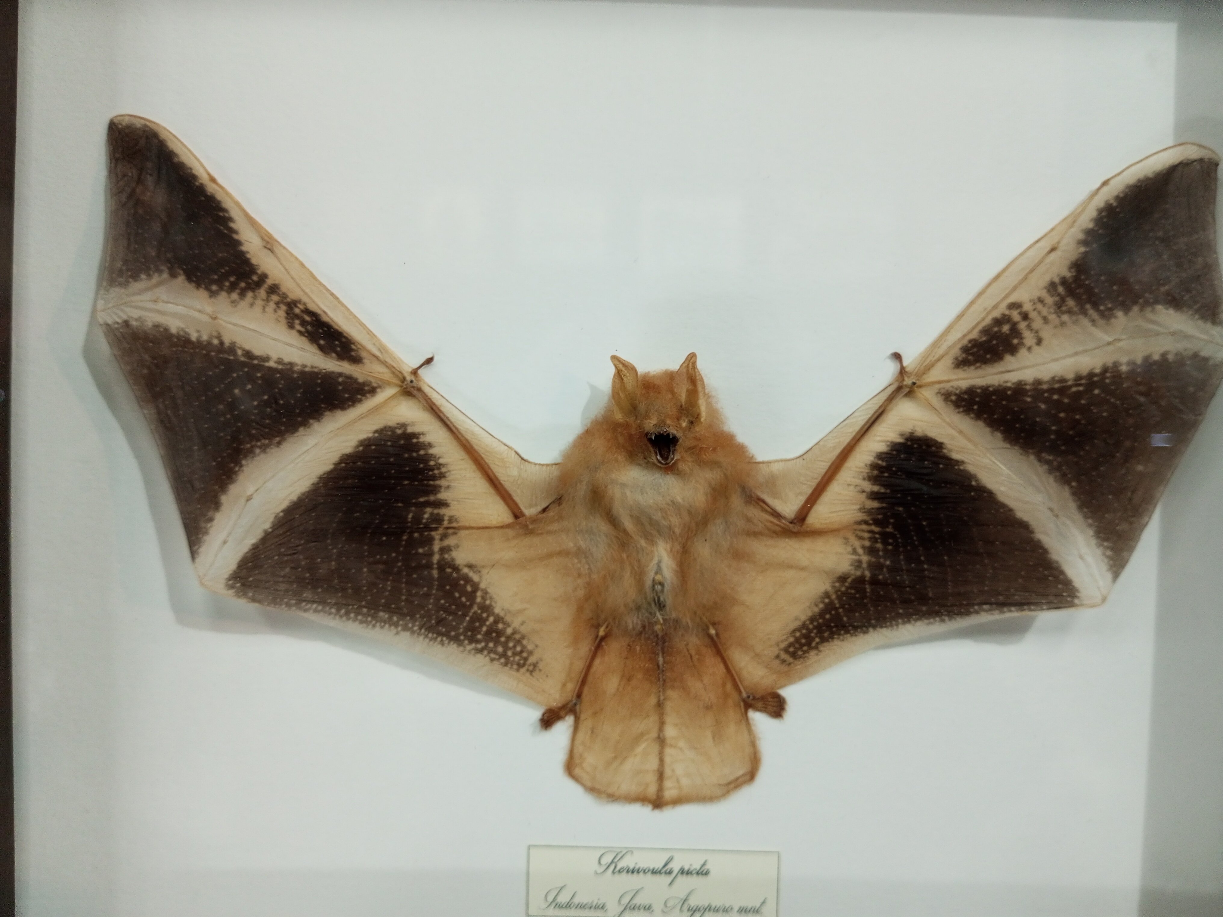 Фото Шум ручья