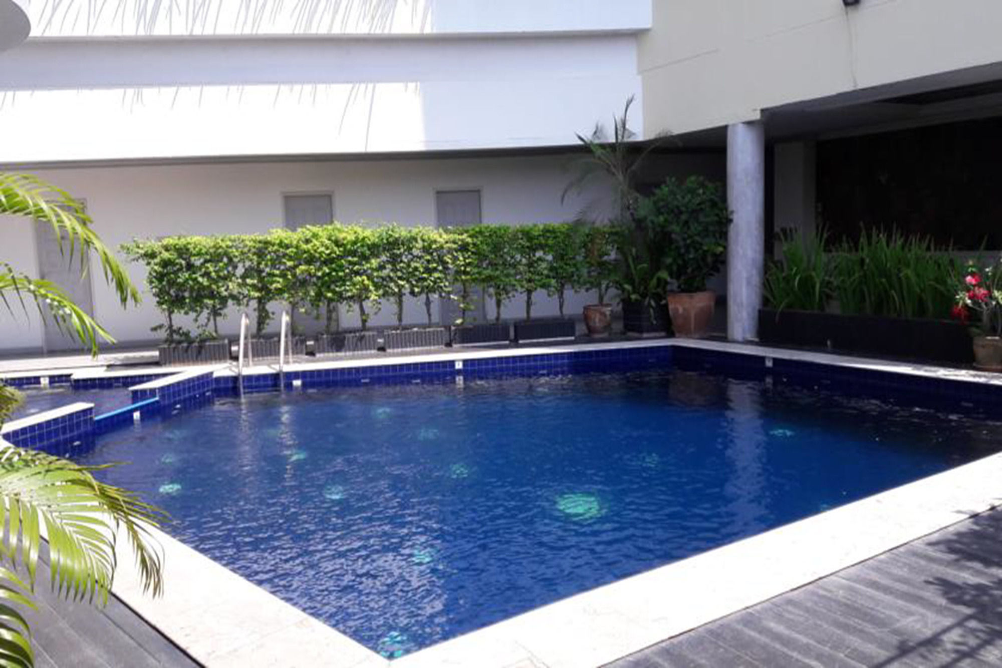 Фото Garden Paradise Hotel & Serviced Apartment