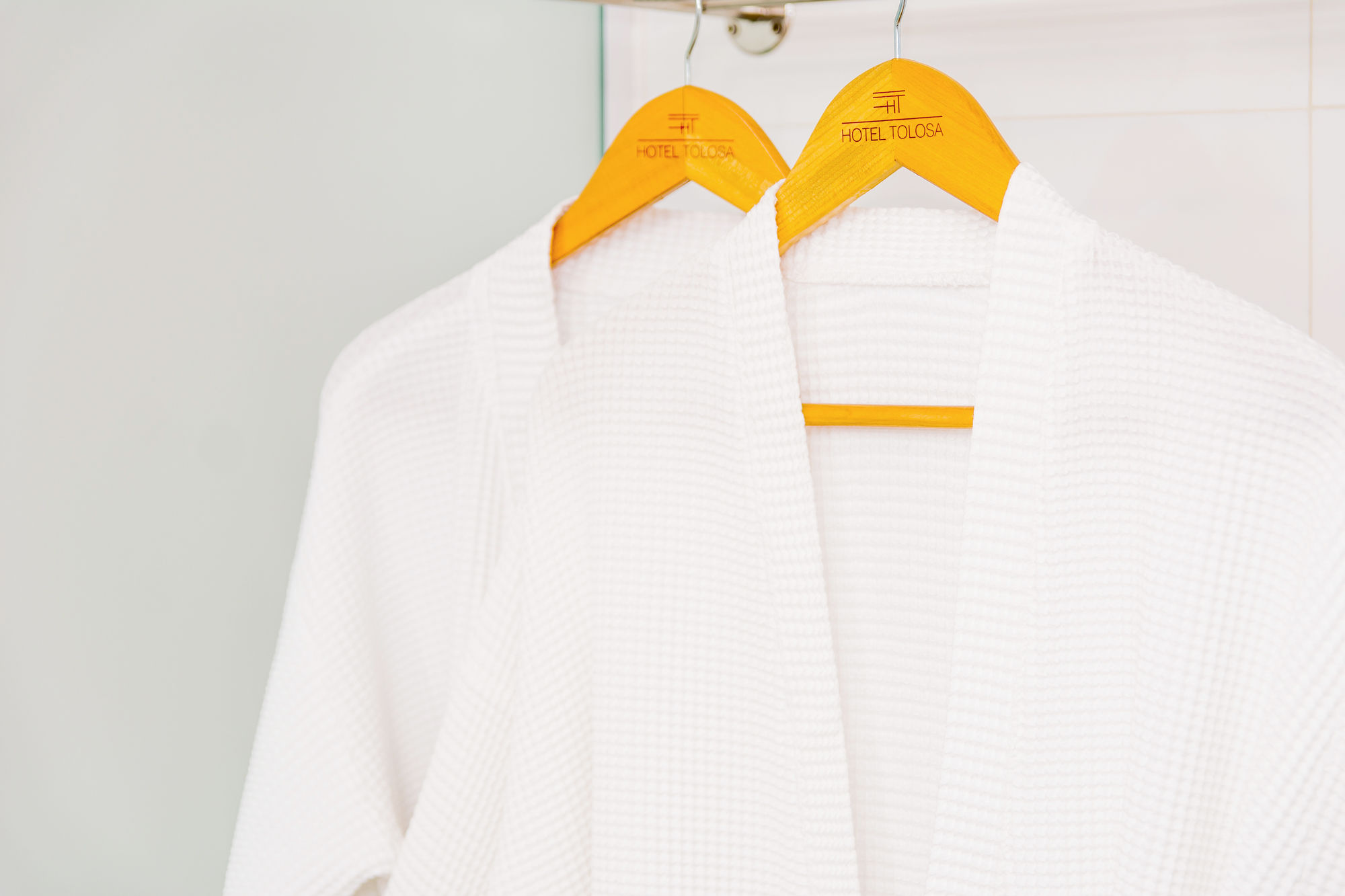 Фото Hotel Tolosa