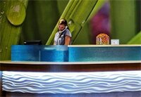 Фото SpringHill Suites by Marriott Sarasota Bradenton