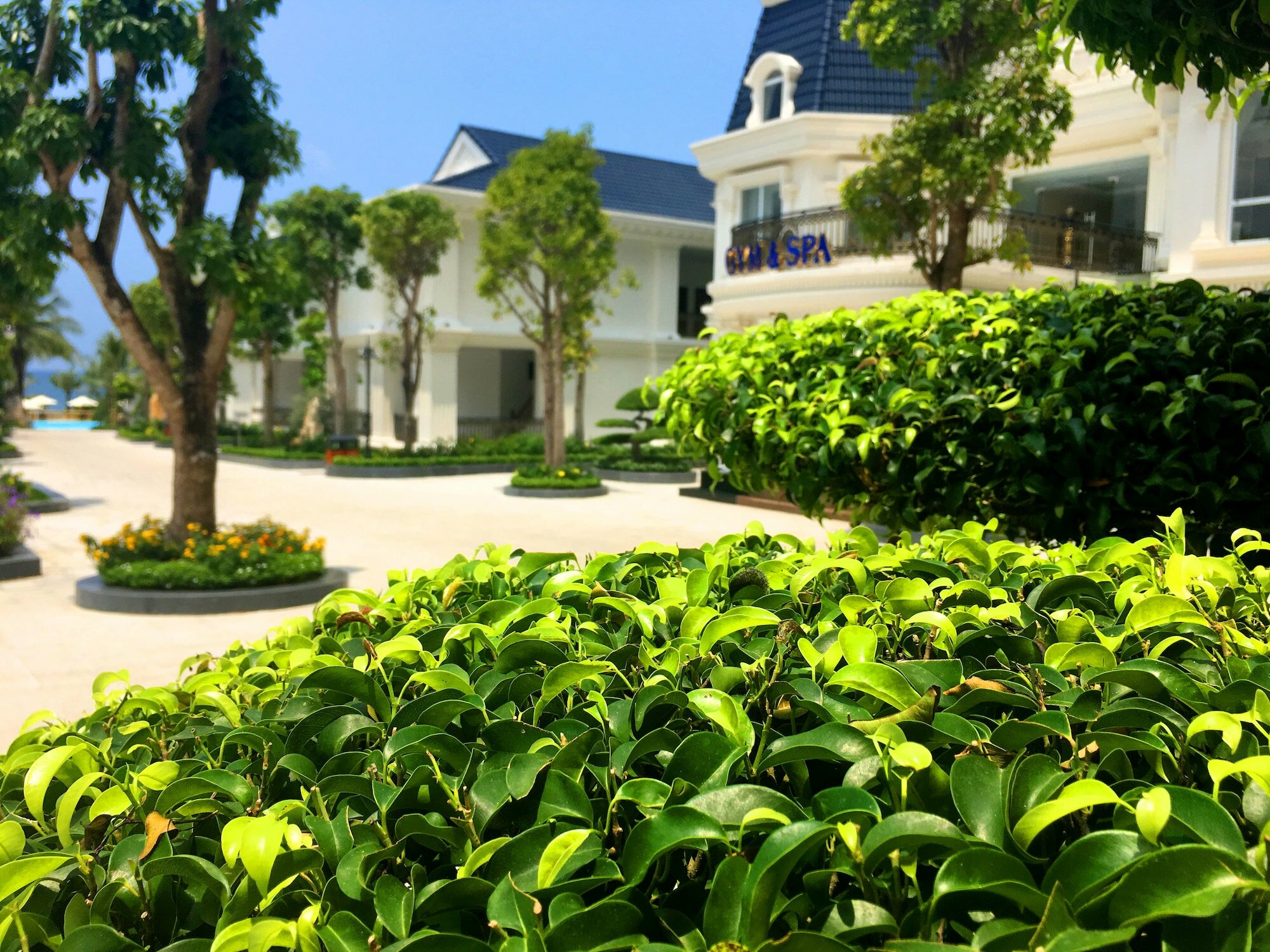 Фото Thien Thanh Phu Quoc Resort