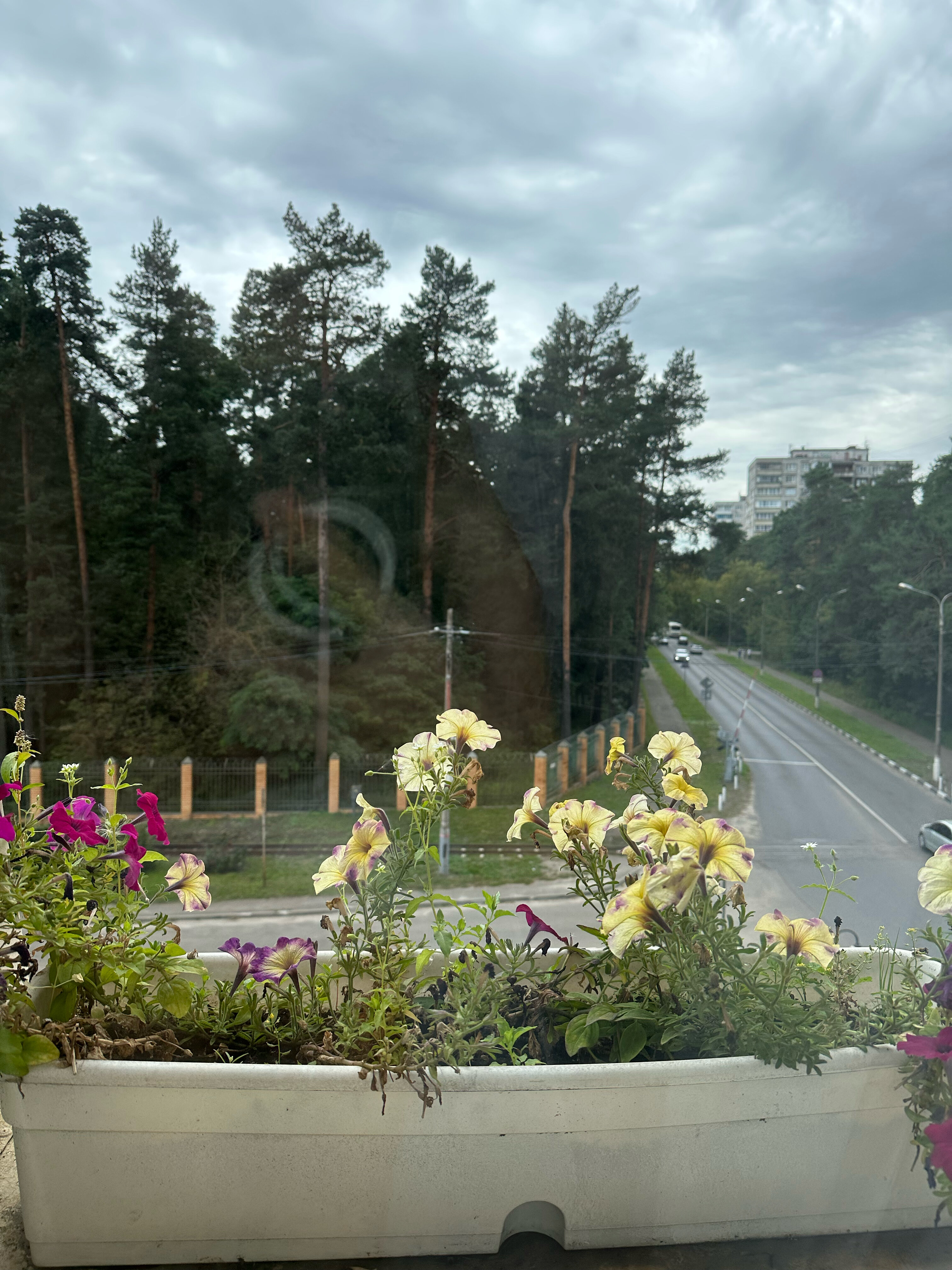 Фото Андерсен