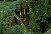 Фото Lost Resort