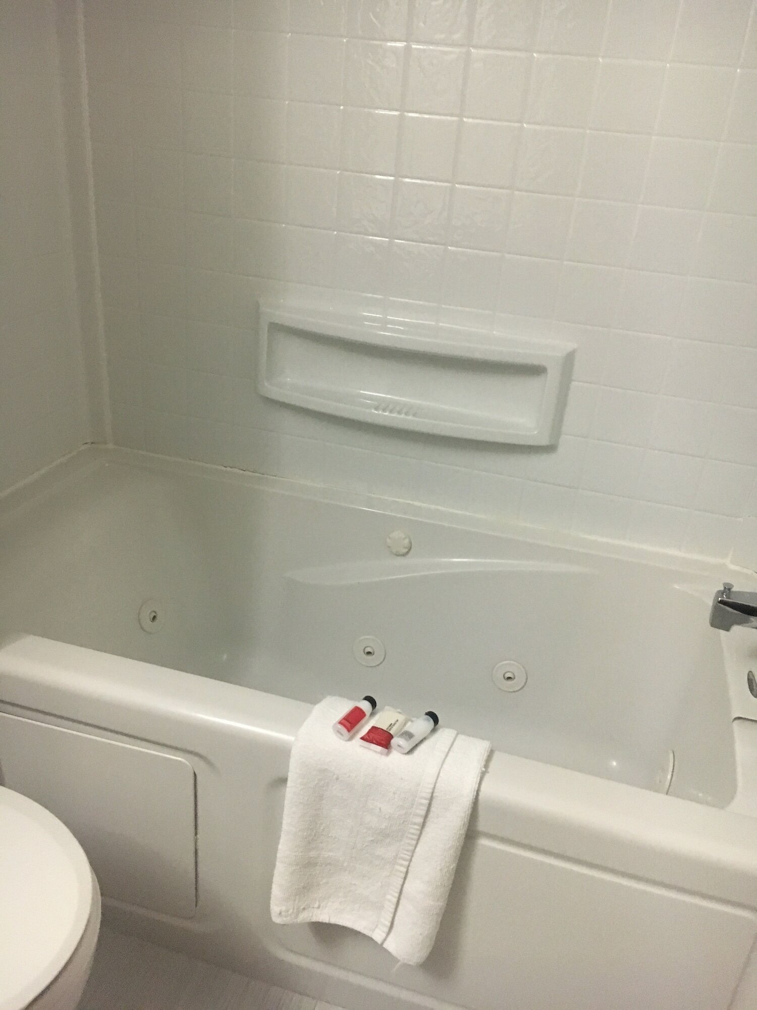 Фото Microtel Inn & Suites by Wyndham Niagara Falls