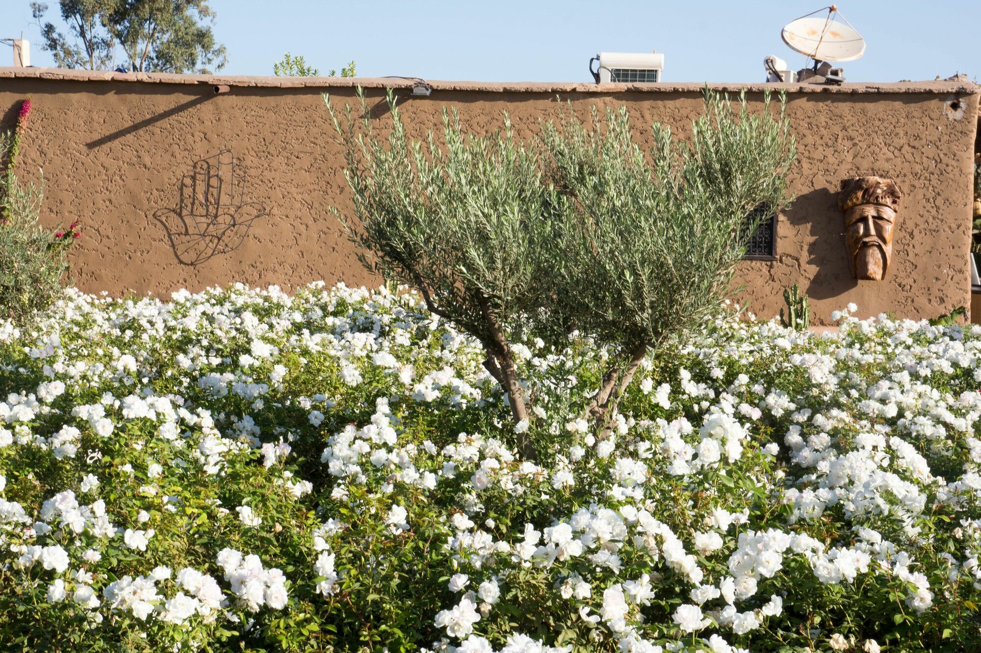 Фото La Ferme El Dar