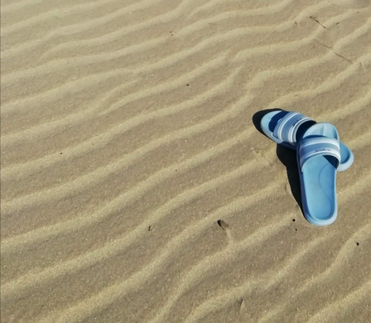 Фото На заливе