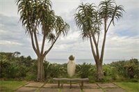 Фото Misty Blue Bed and Breakfast