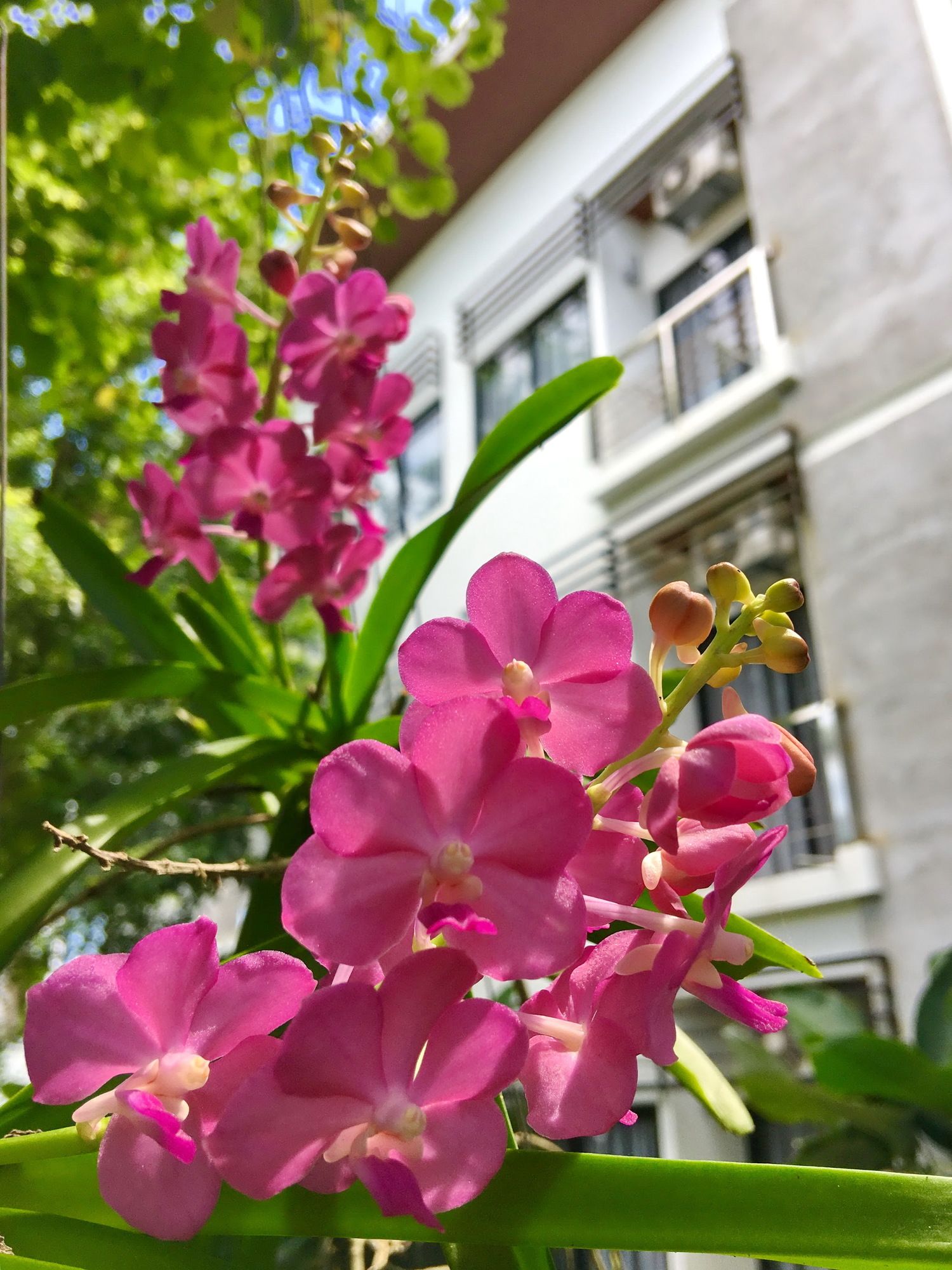 Фото Ideo Phuket Hotel