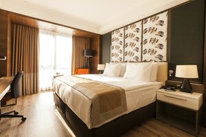Гостиница Holiday Inn Kayseri - Duvenonu