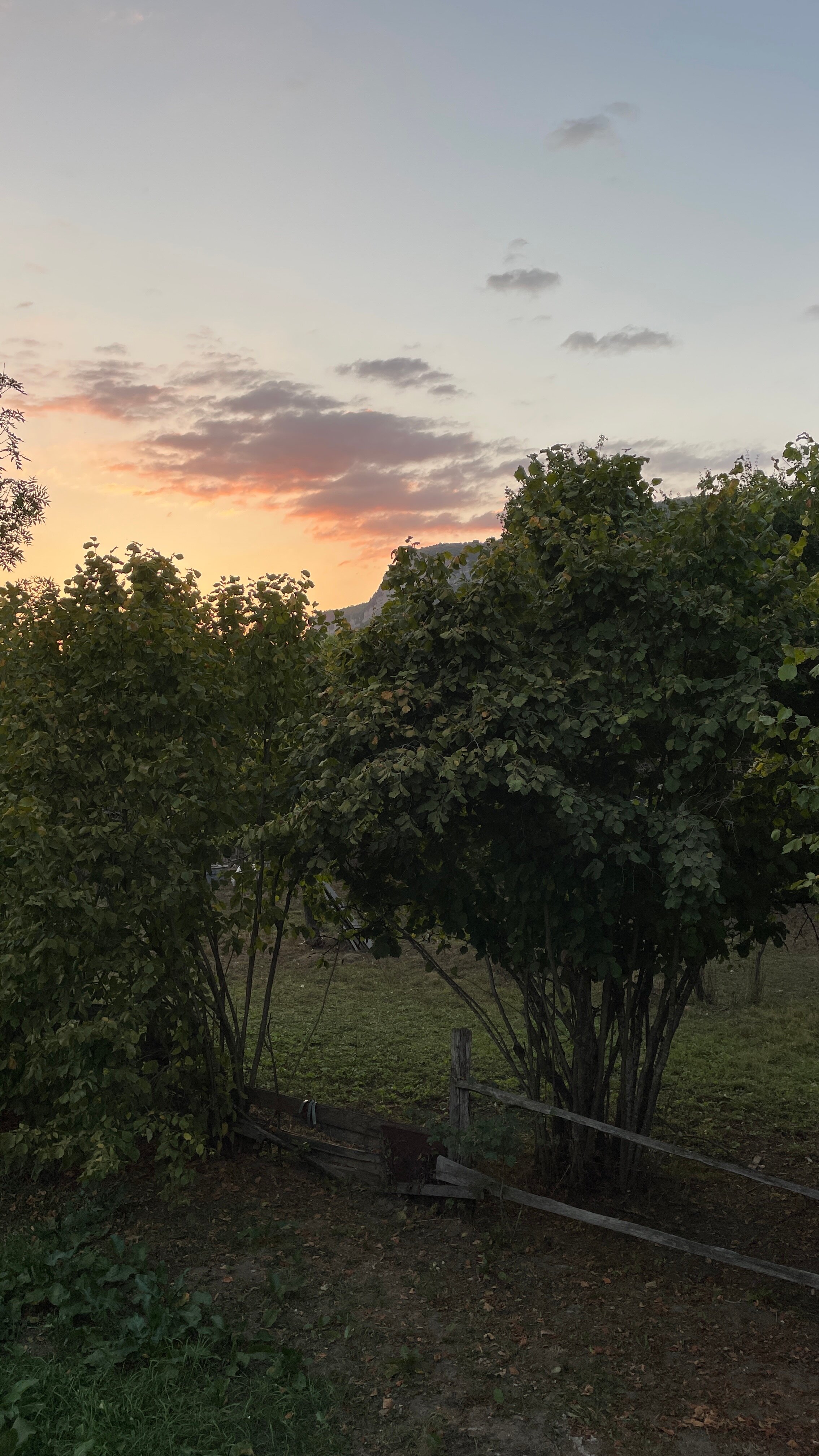 Фото Дача Карамель