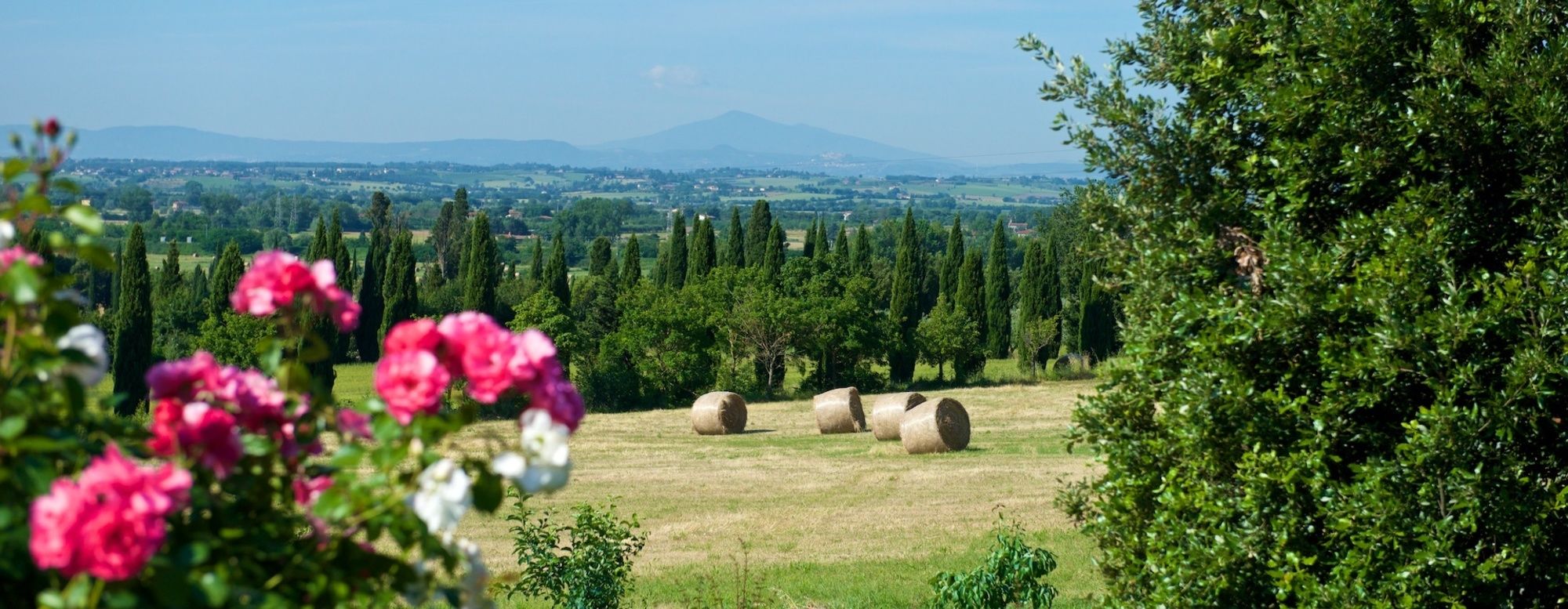 Фото Villa Borgo San Pietro