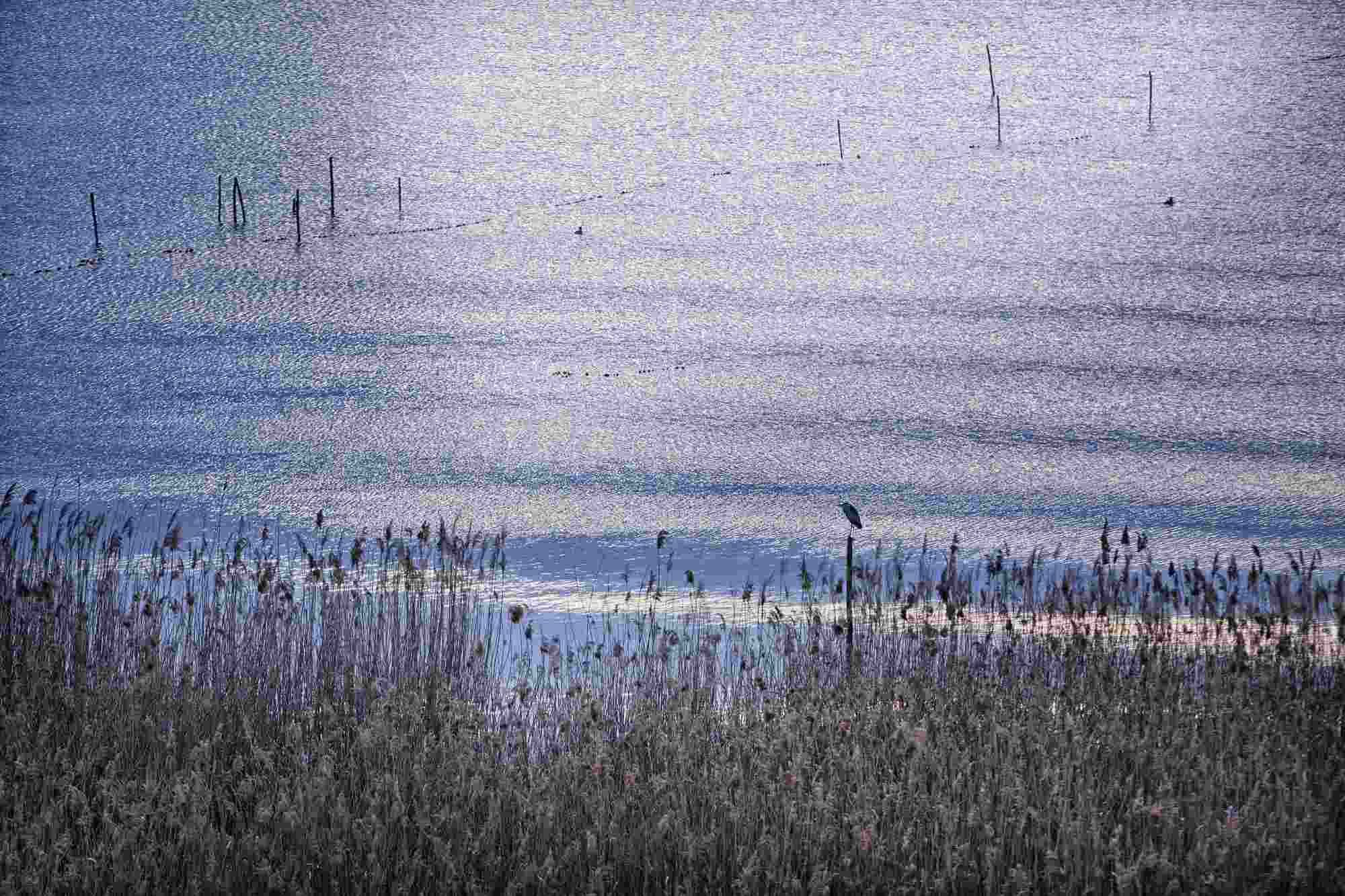 Фото Hotel La Rondine