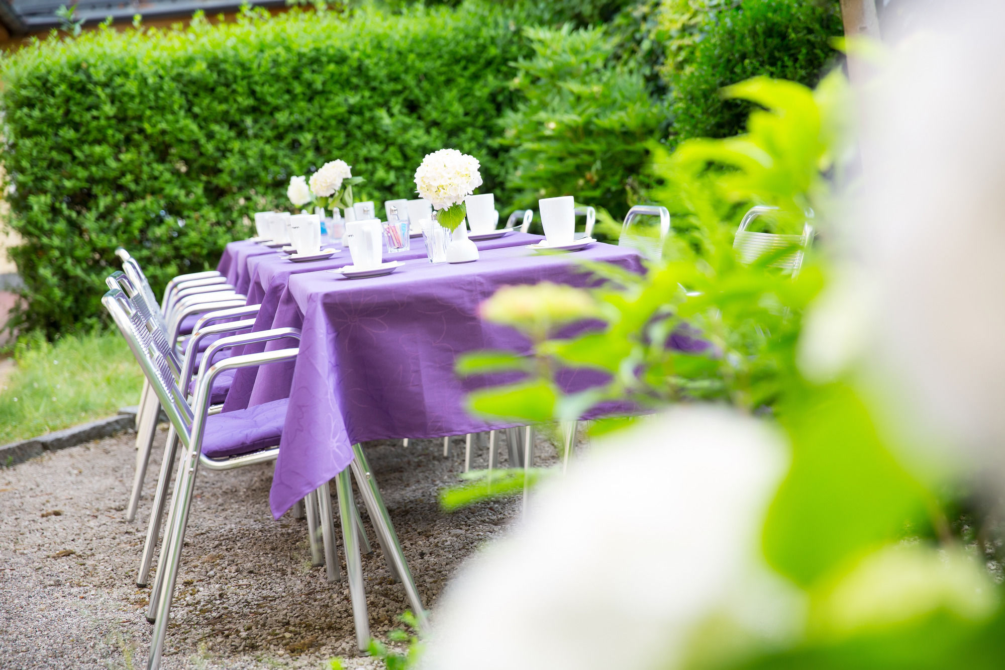 Фото Hotel Jedermann