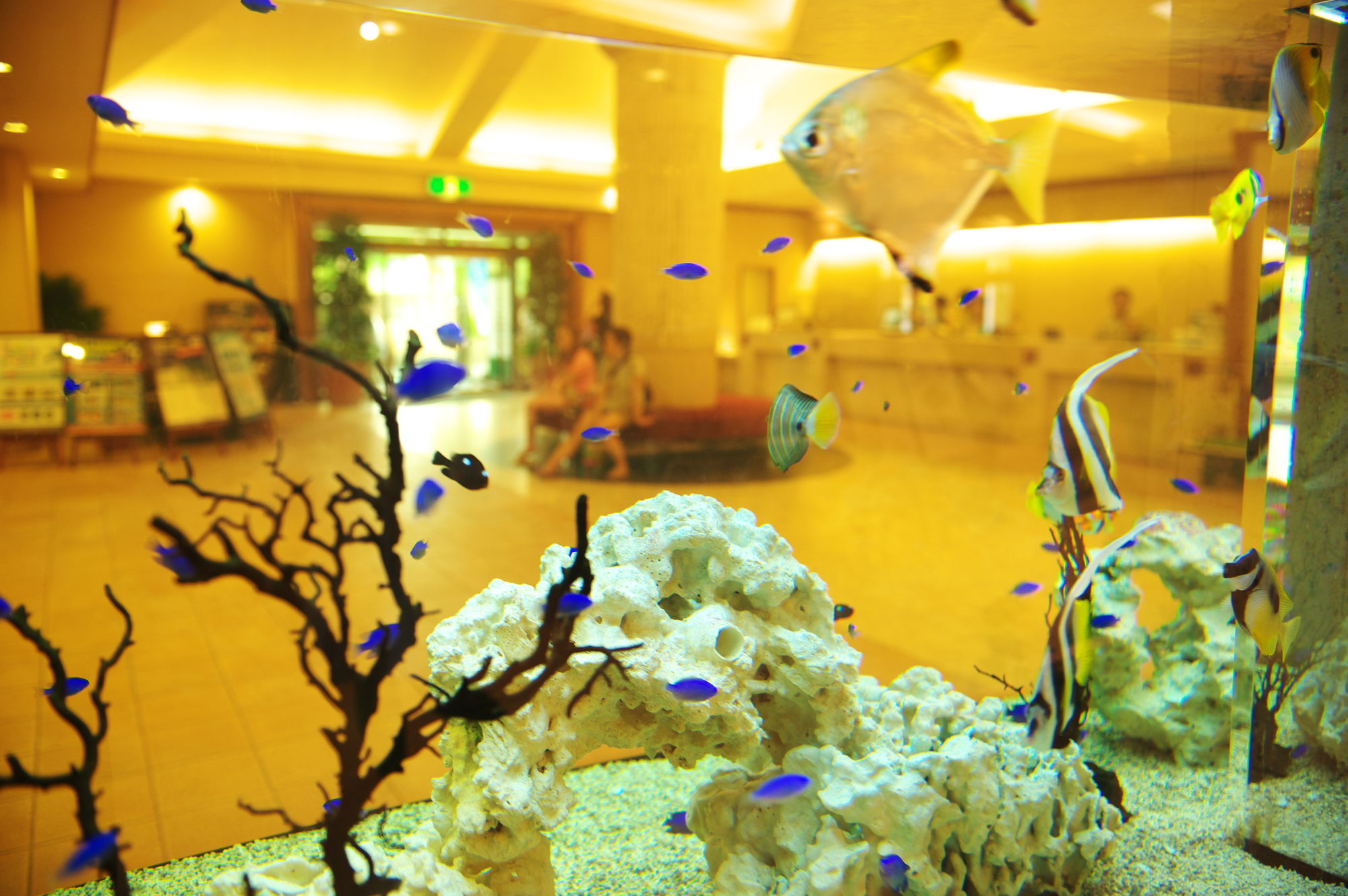 Фото Fusaki Beach Resort Hotel & Villas