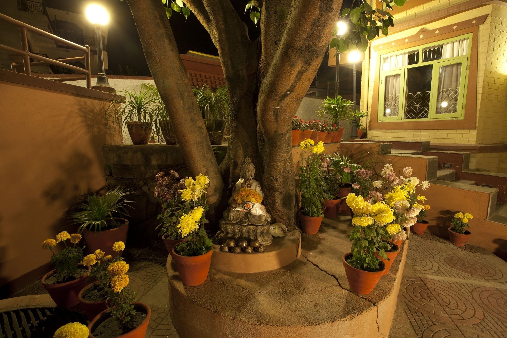 Фото Shambaling Boutique Hotel