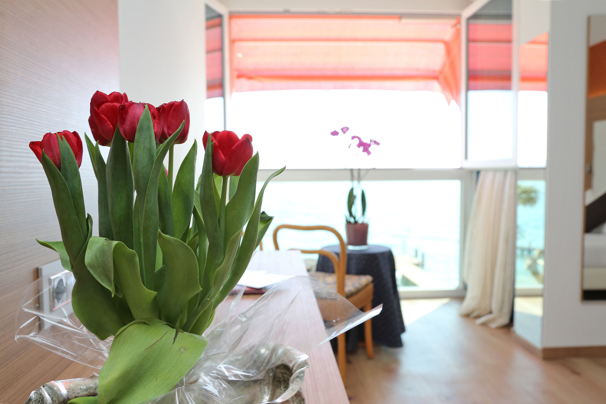 Фото Hotel Kriss Internazionale