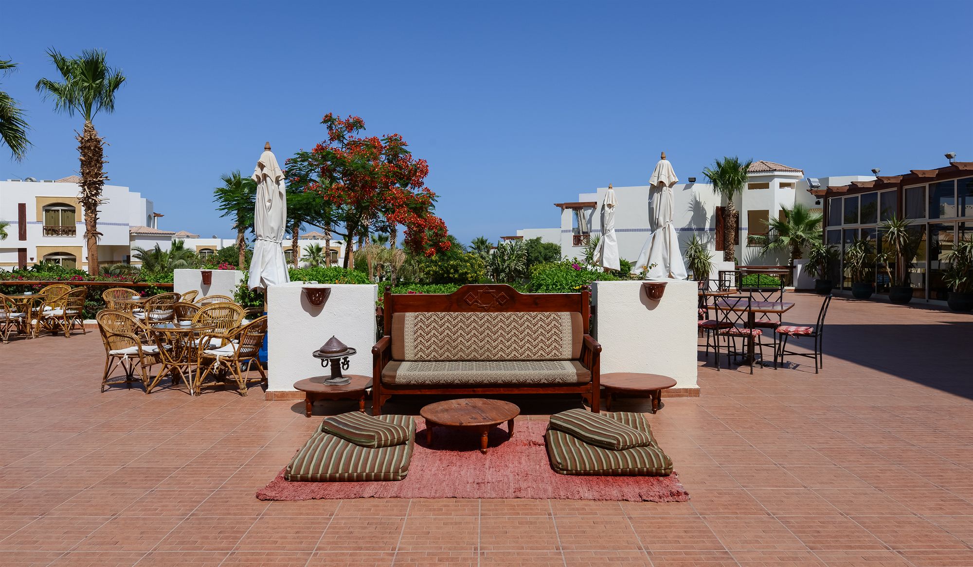 Фото Amphoras Blu