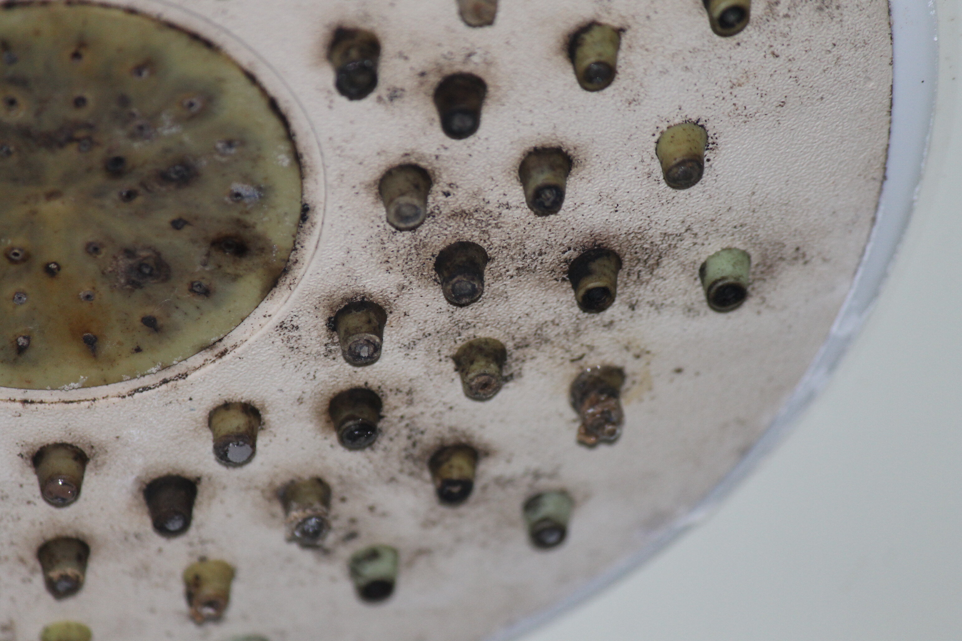 Фото Авантаж