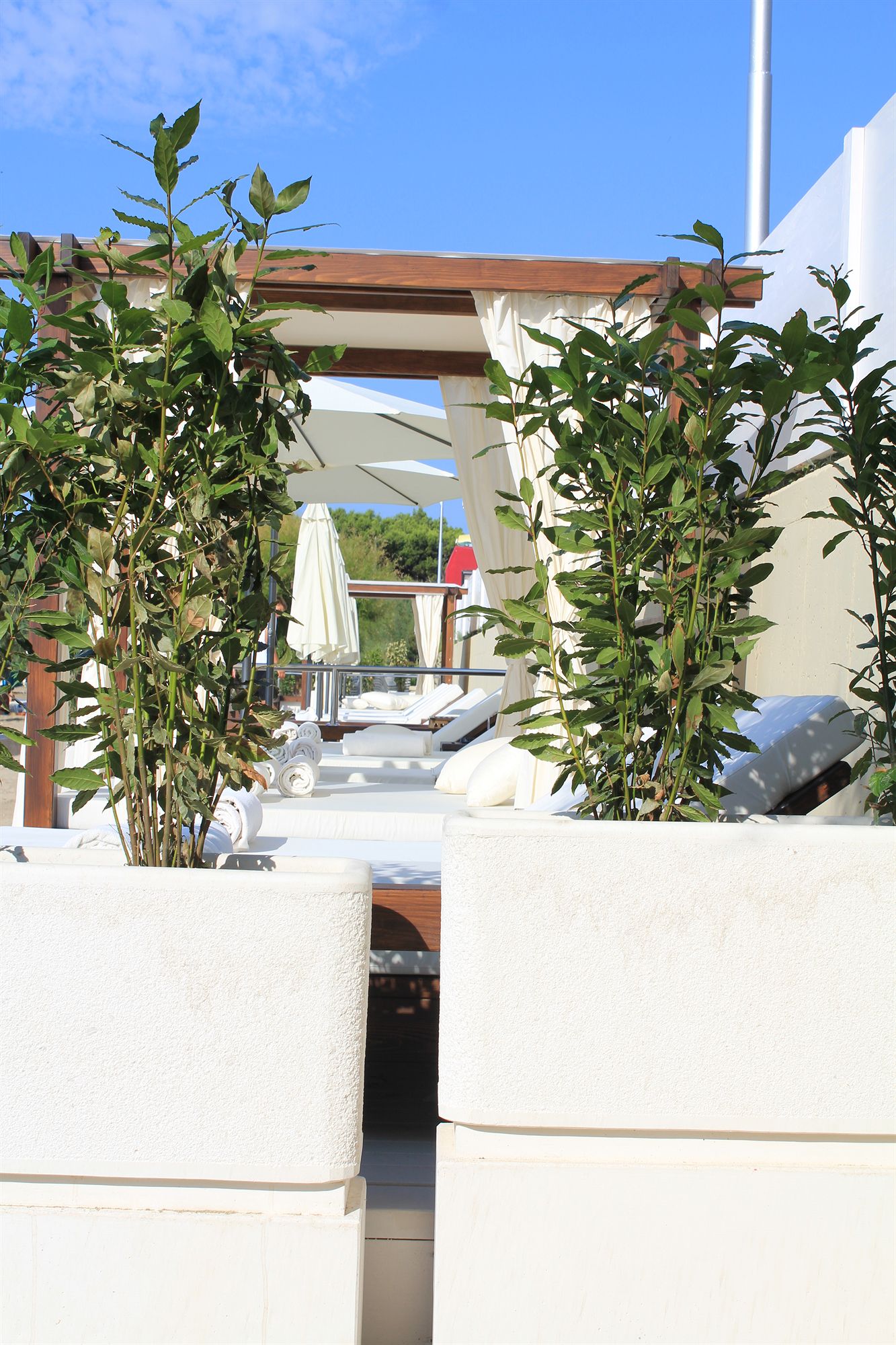 Фото Damianii Luxury Boutique Hotel & SPA